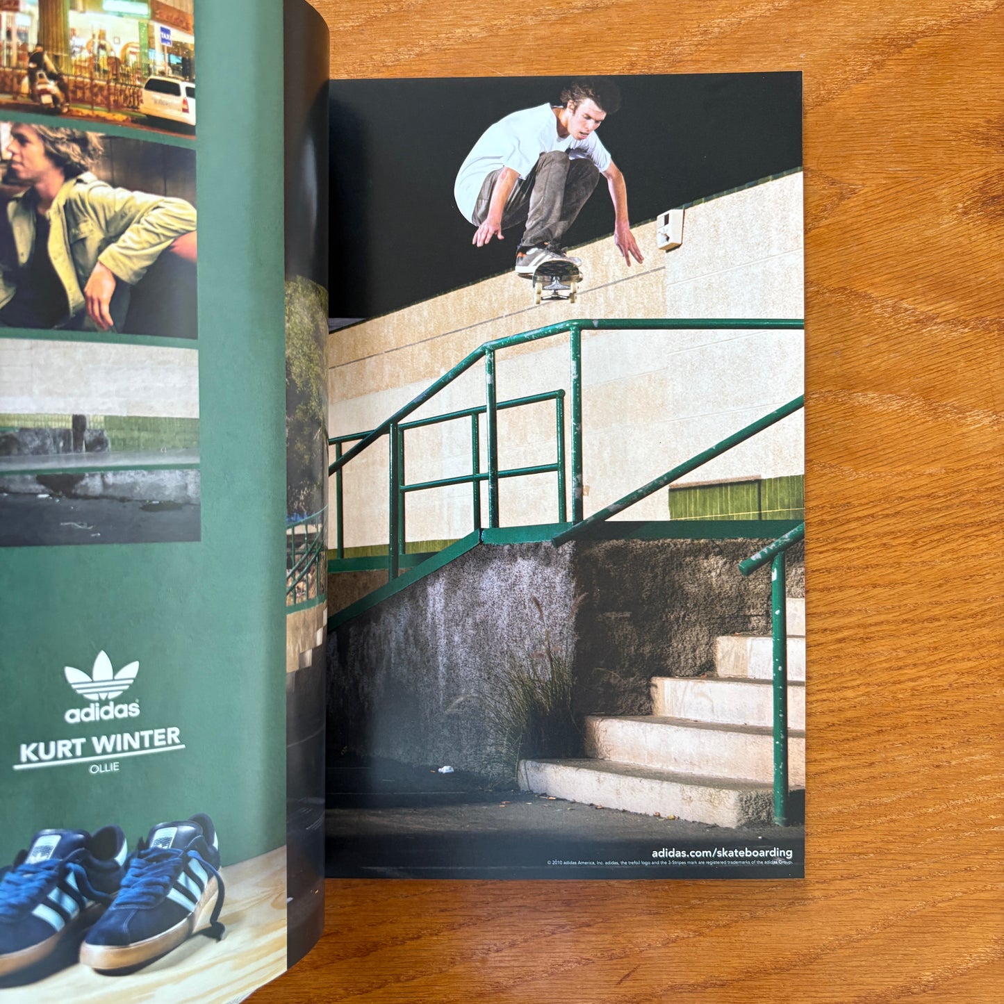 The Skateboarder's Journal 17