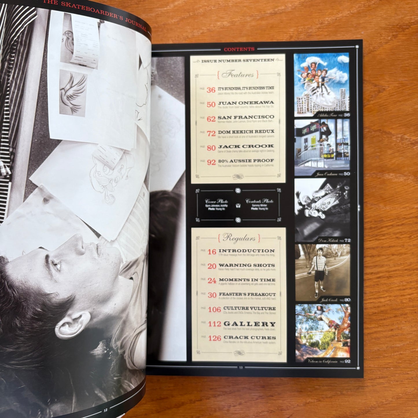 The Skateboarder's Journal 17