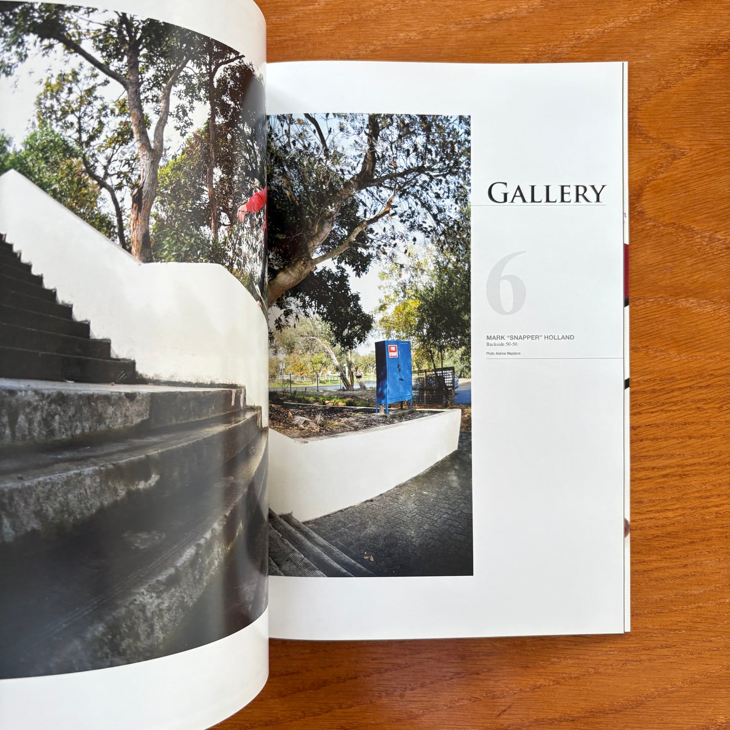 The Skateboarder's Journal 17