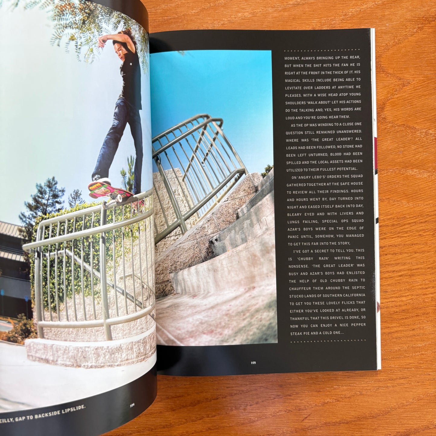 The Skateboarder's Journal 17