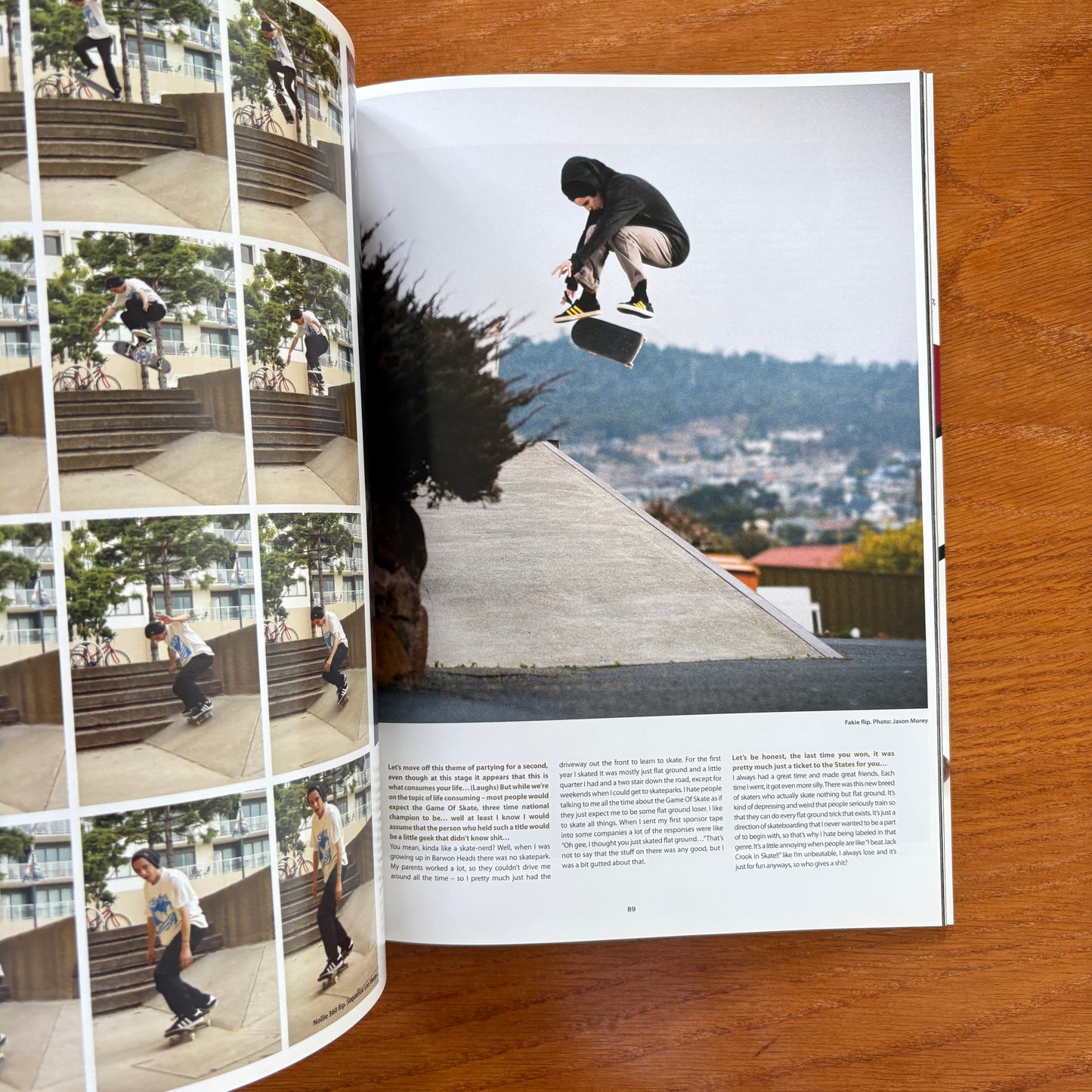 The Skateboarder's Journal 17