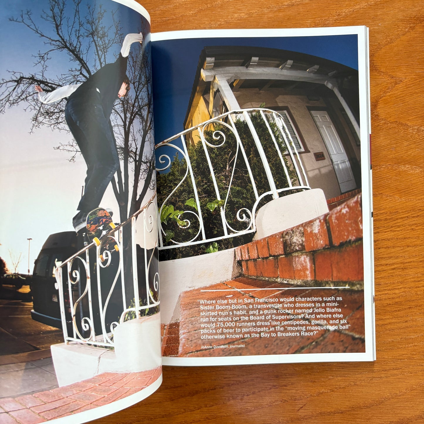 The Skateboarder's Journal 17