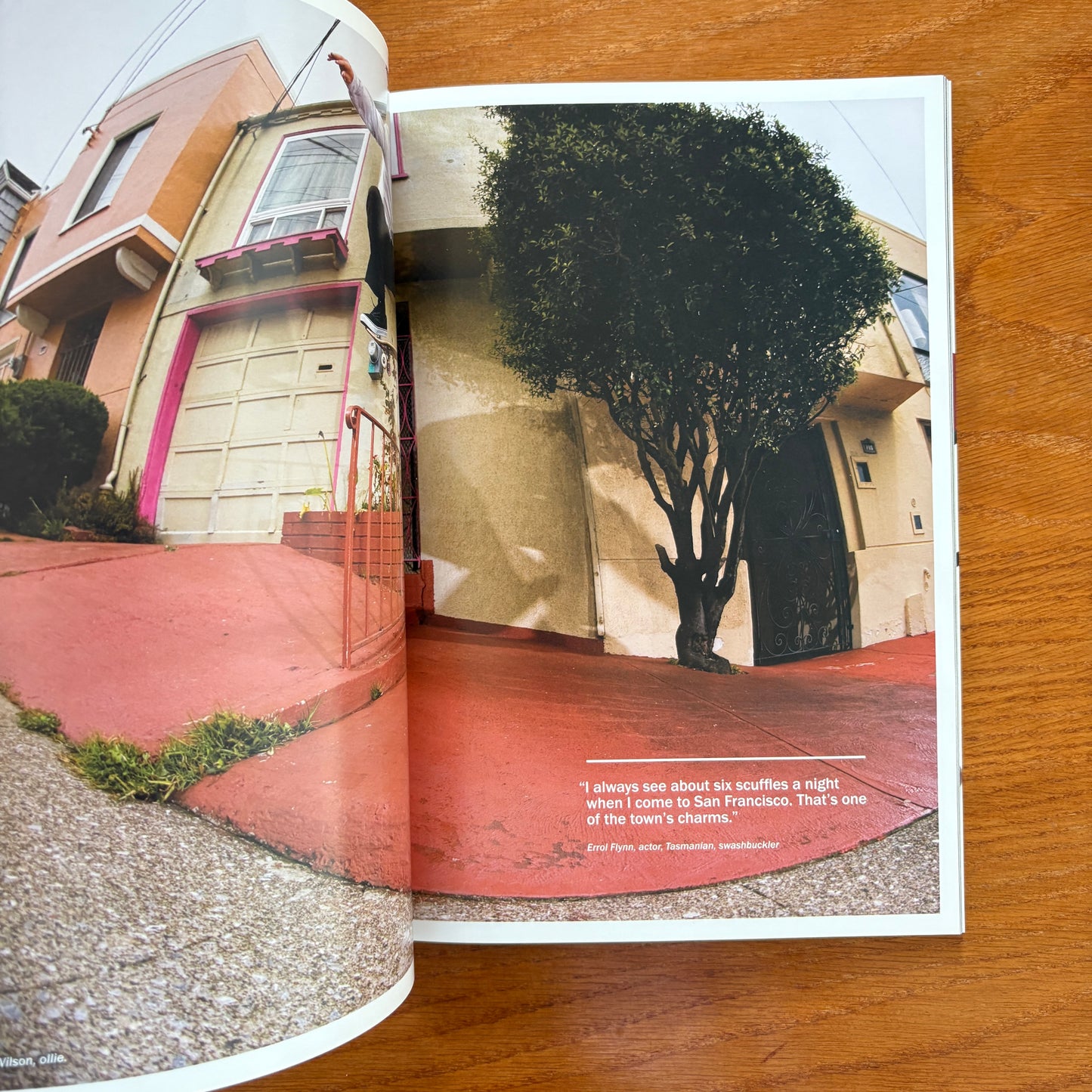 The Skateboarder's Journal 17
