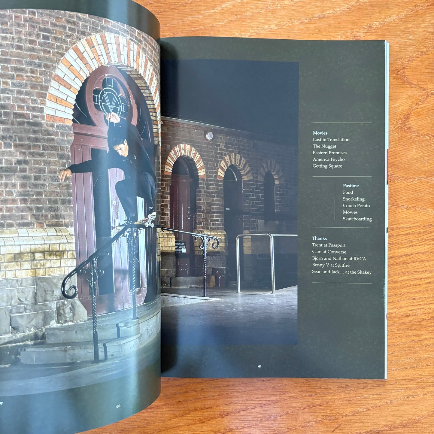 The Skateboarder's Journal 17