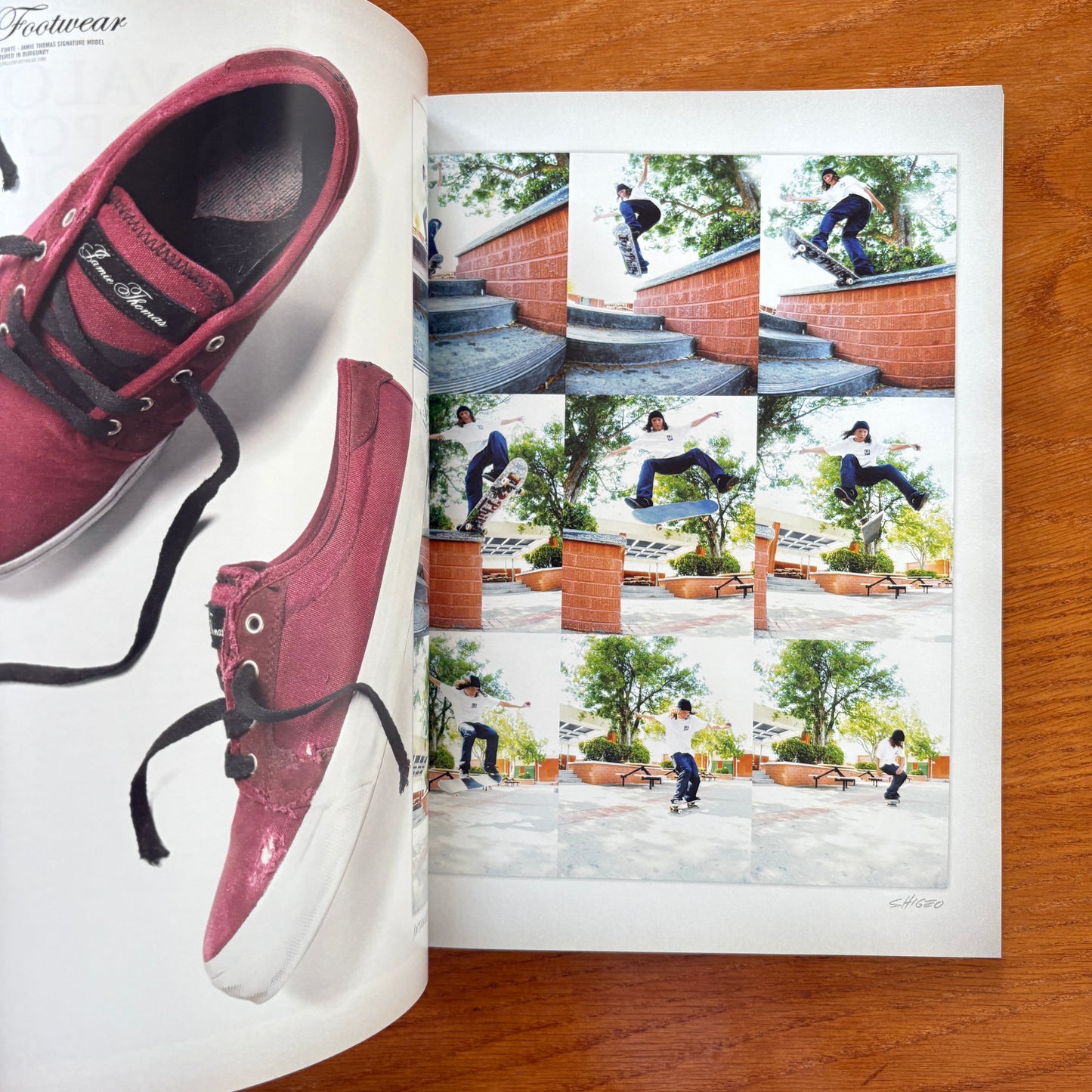 The Skateboarder's Journal 17