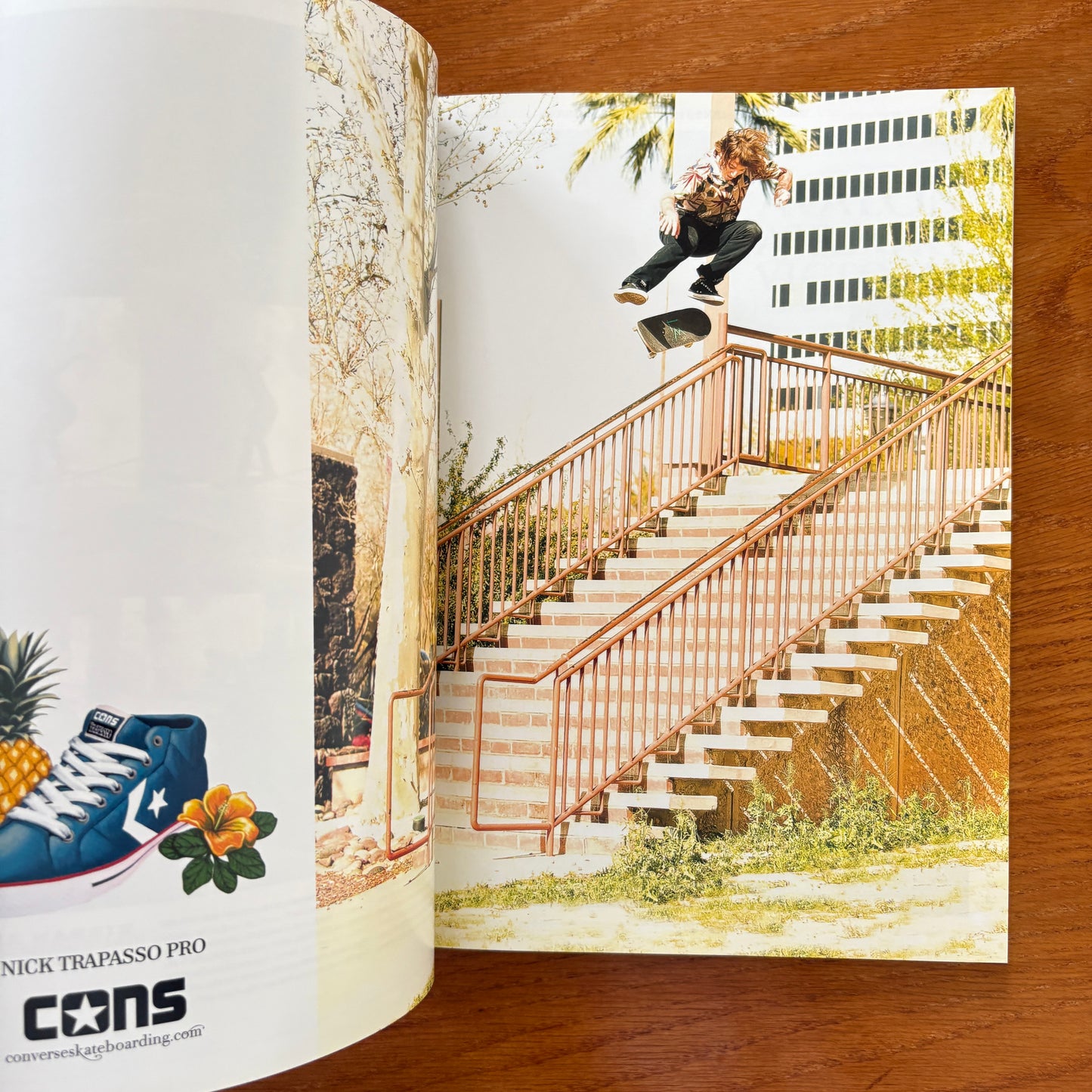 The Skateboarder's Journal 17