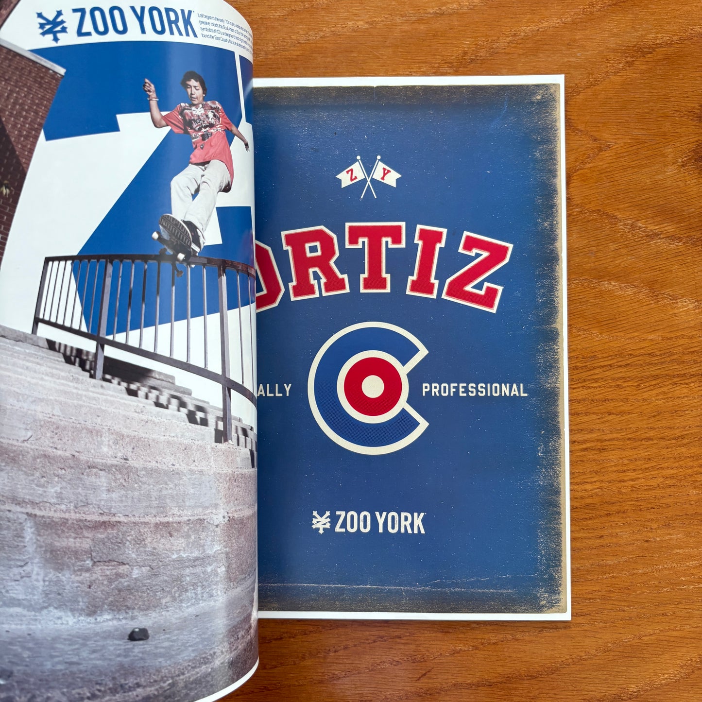 The Skateboarder's Journal 16