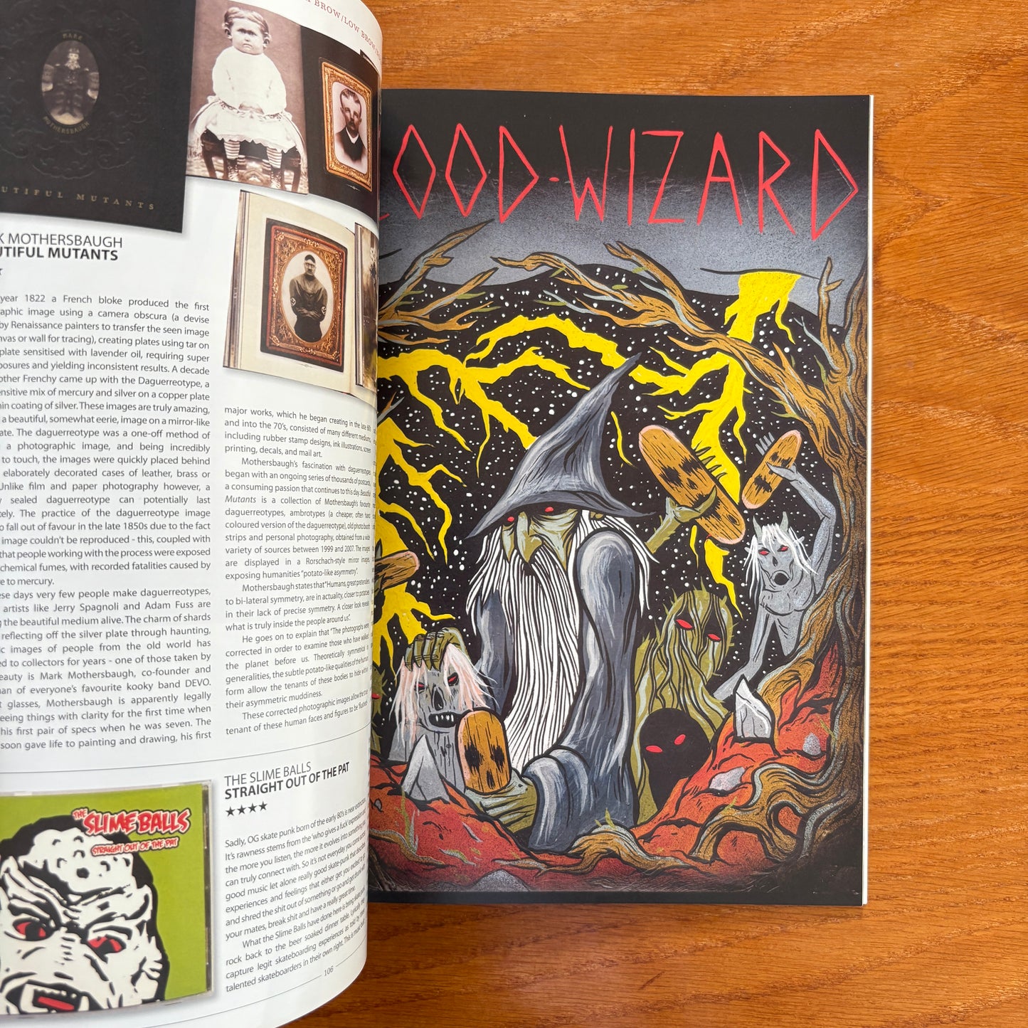The Skateboarder's Journal 16