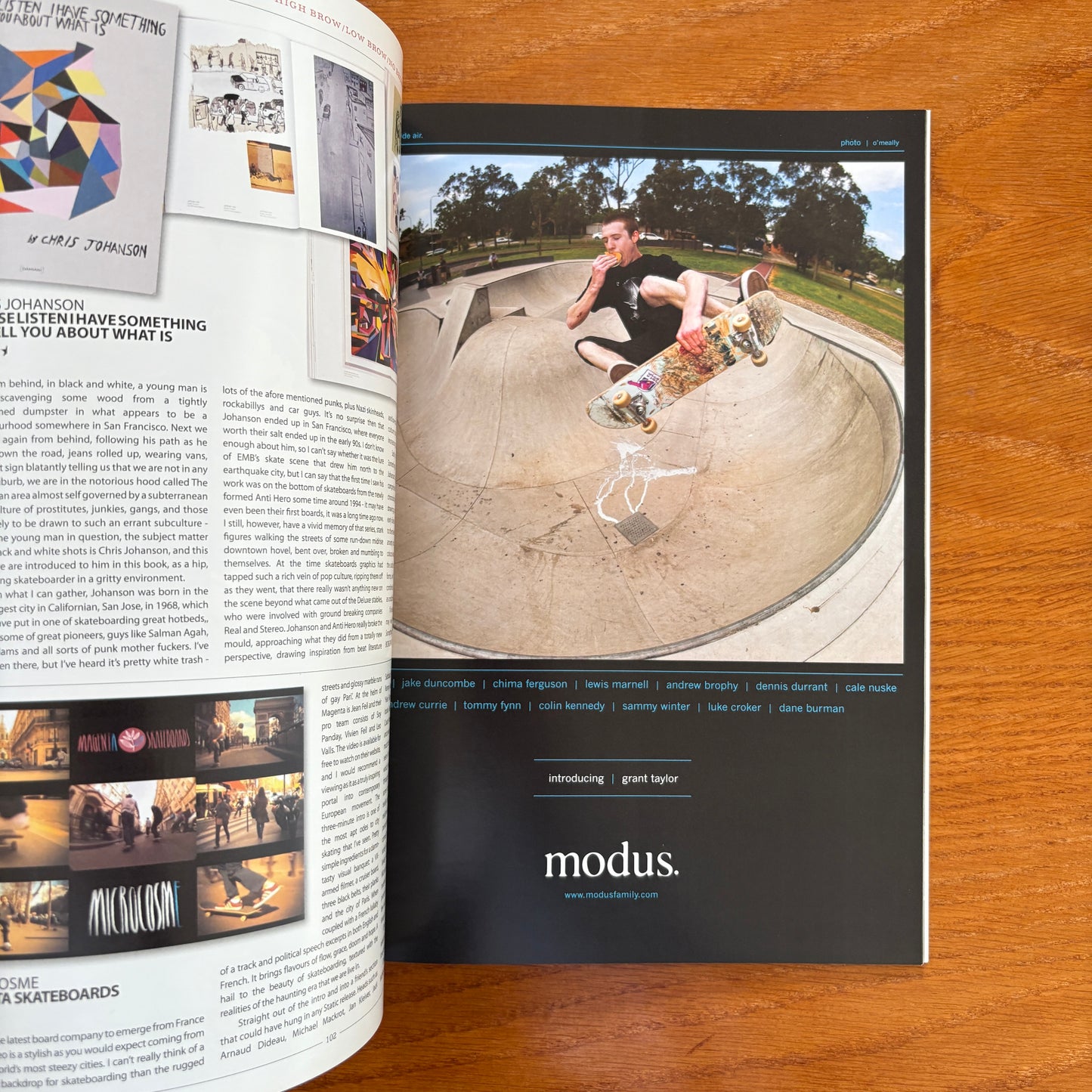 The Skateboarder's Journal 16