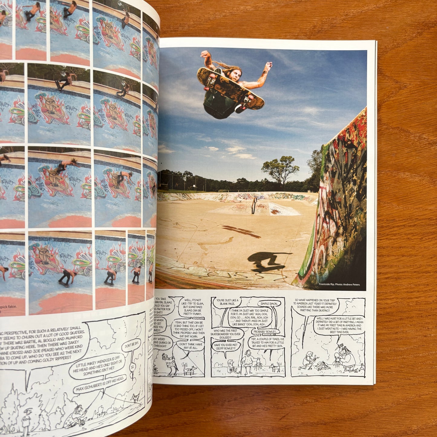 The Skateboarder's Journal 16