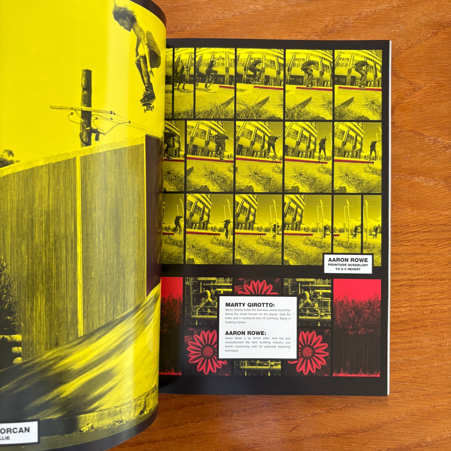 The Skateboarder's Journal 16