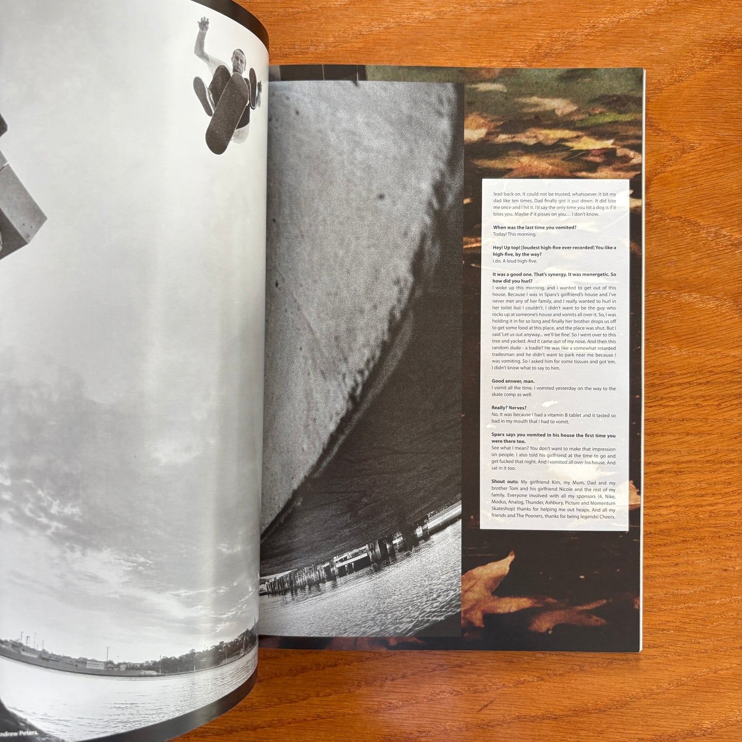 The Skateboarder's Journal 16