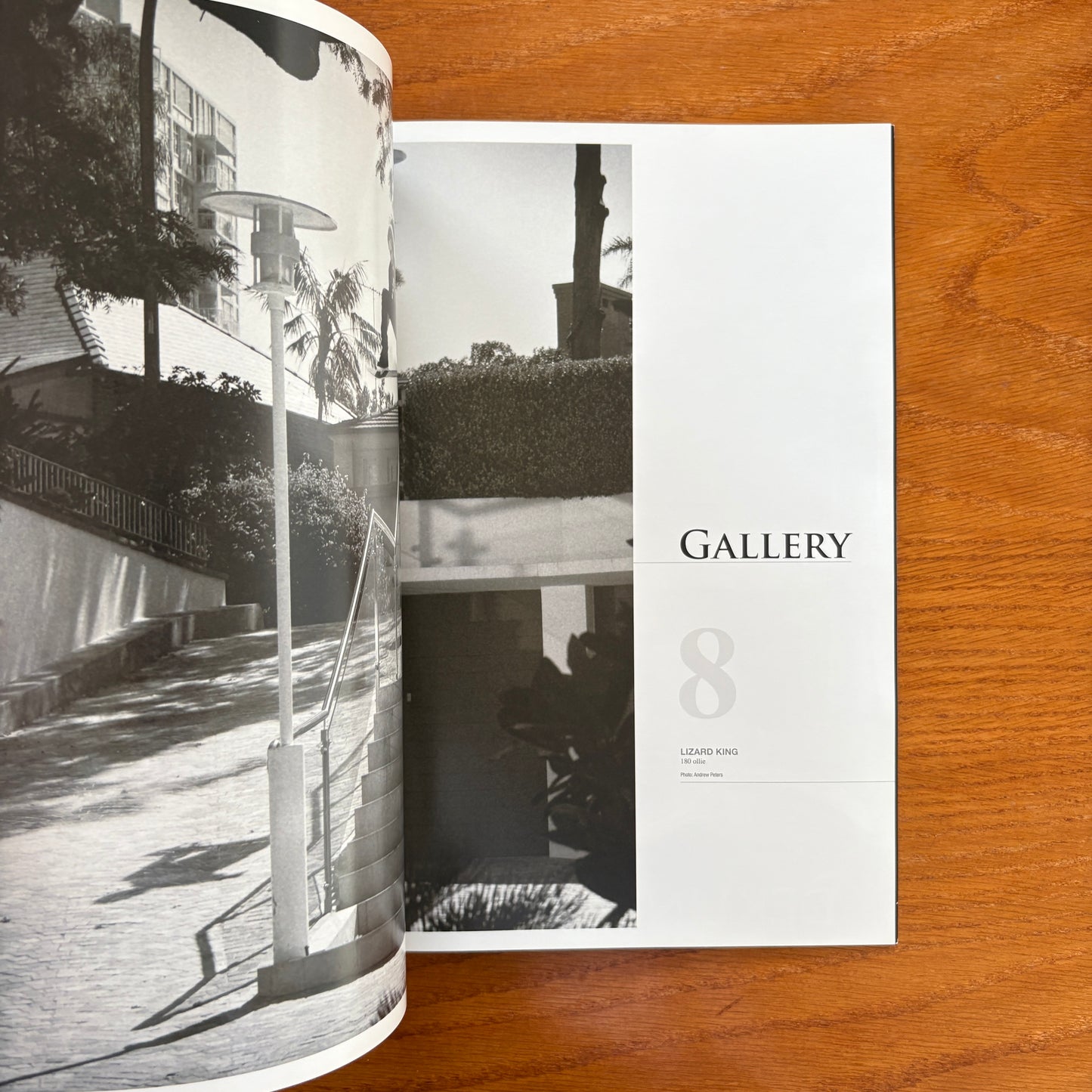 The Skateboarder's Journal 15 Limited Edition