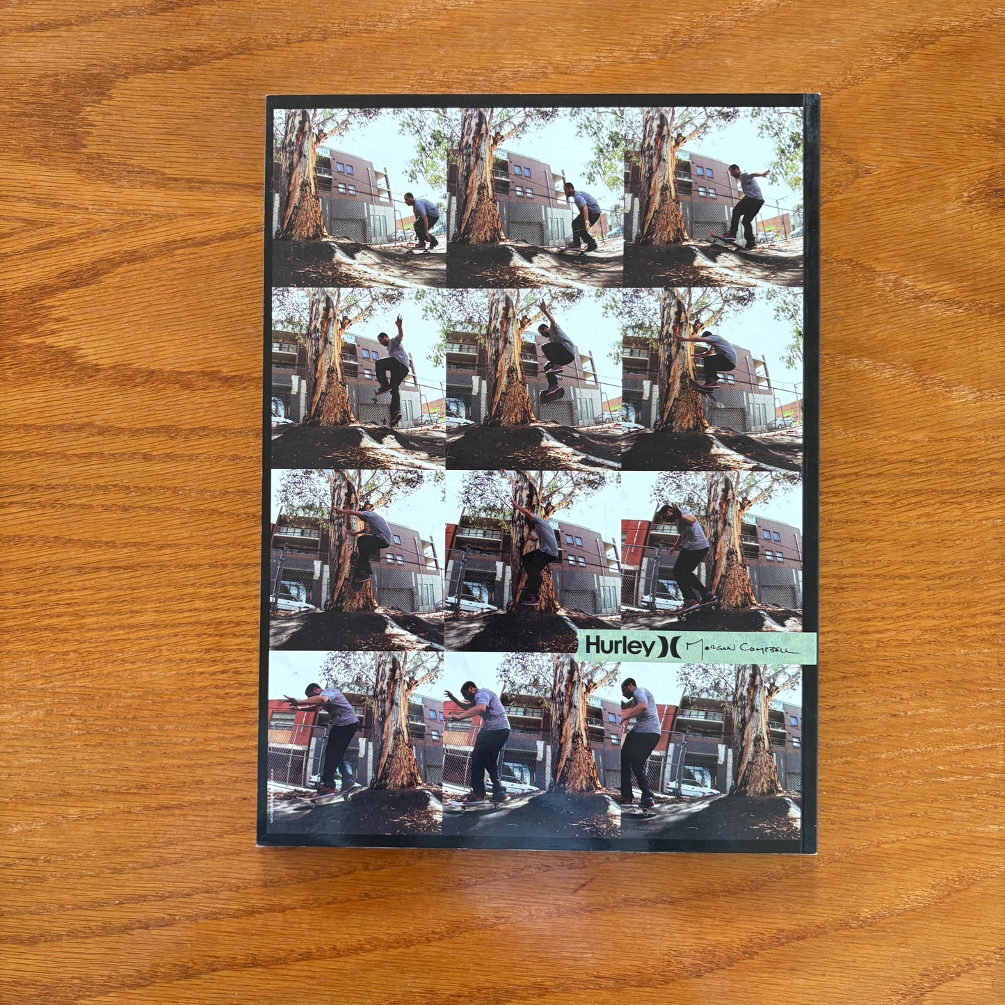 The Skateboarder's Journal 15