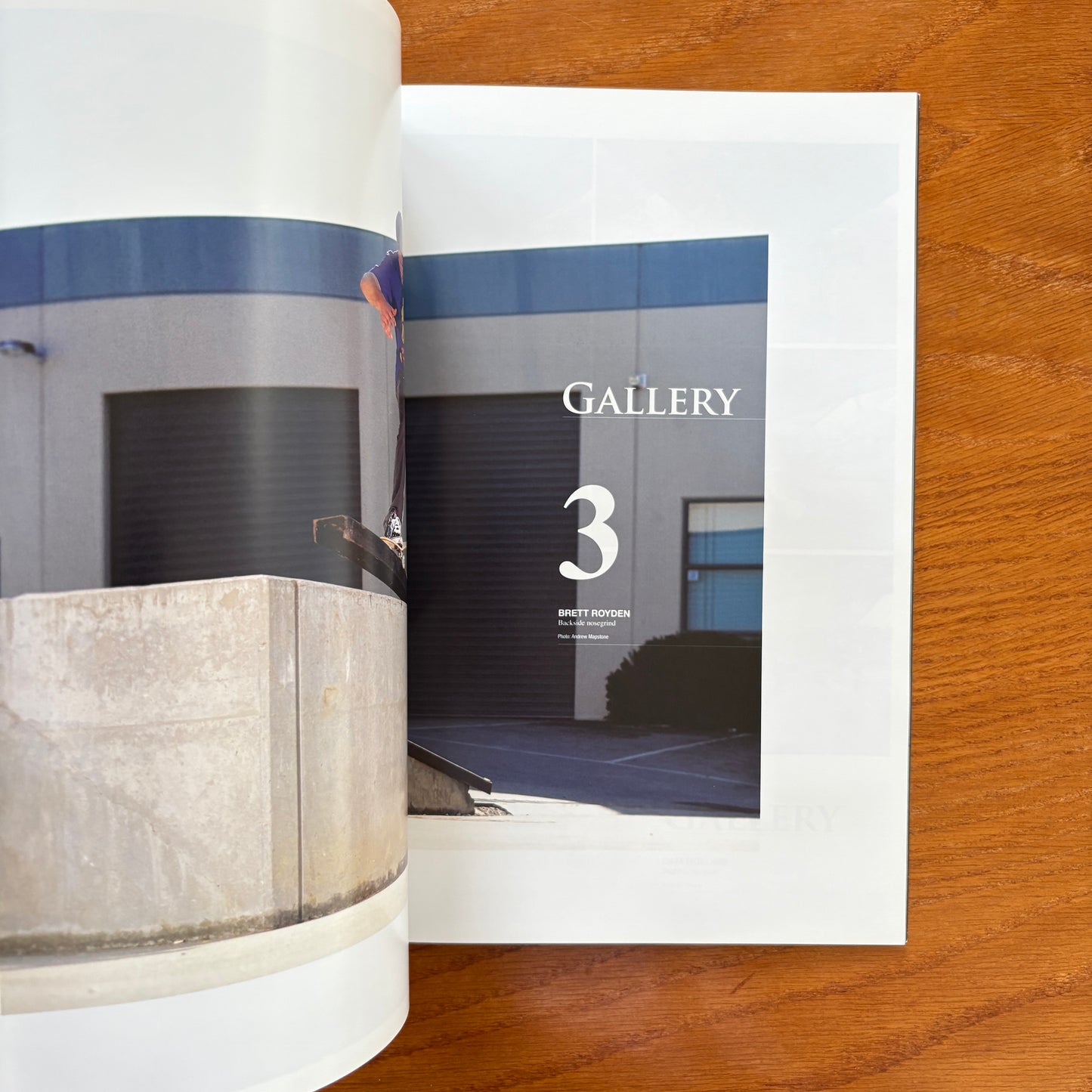 The Skateboarder's Journal 15