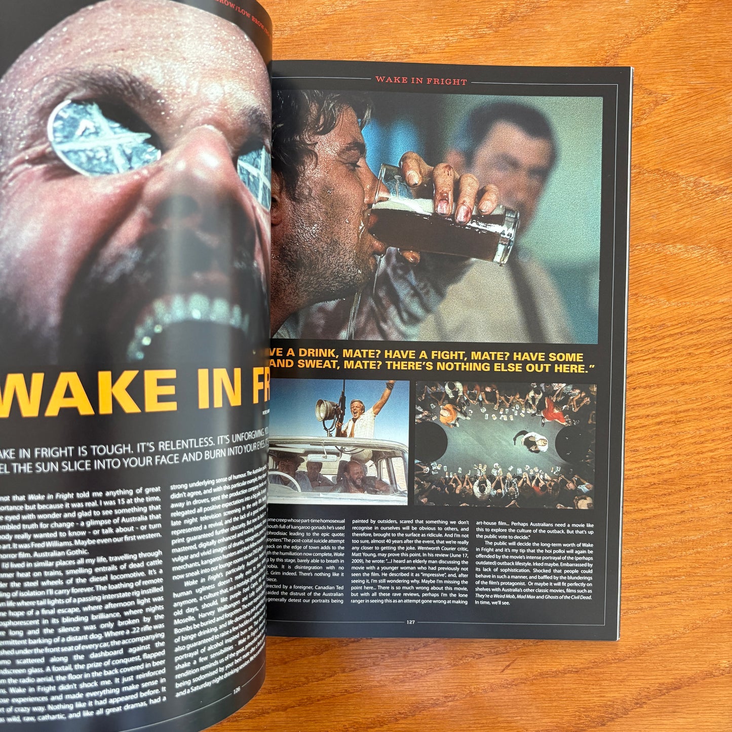 The Skateboarder's Journal 15