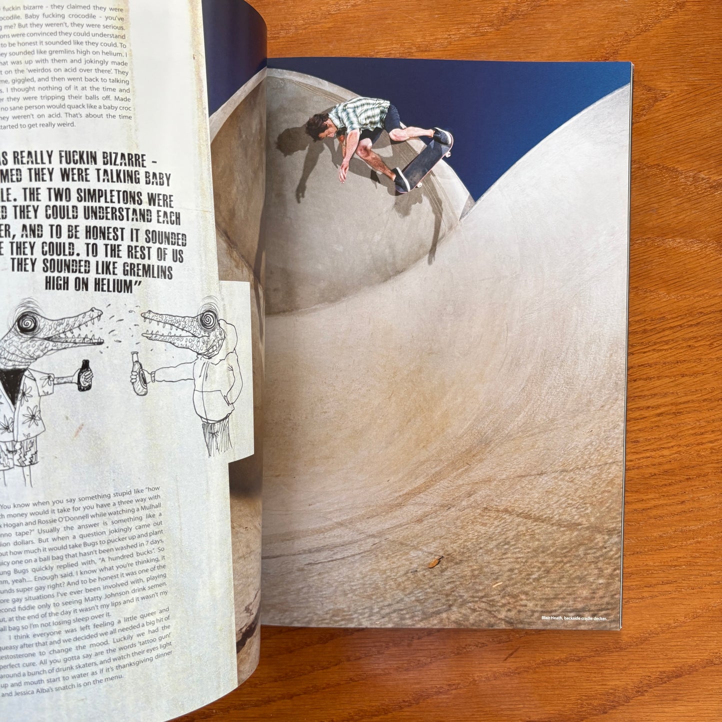 The Skateboarder's Journal 15