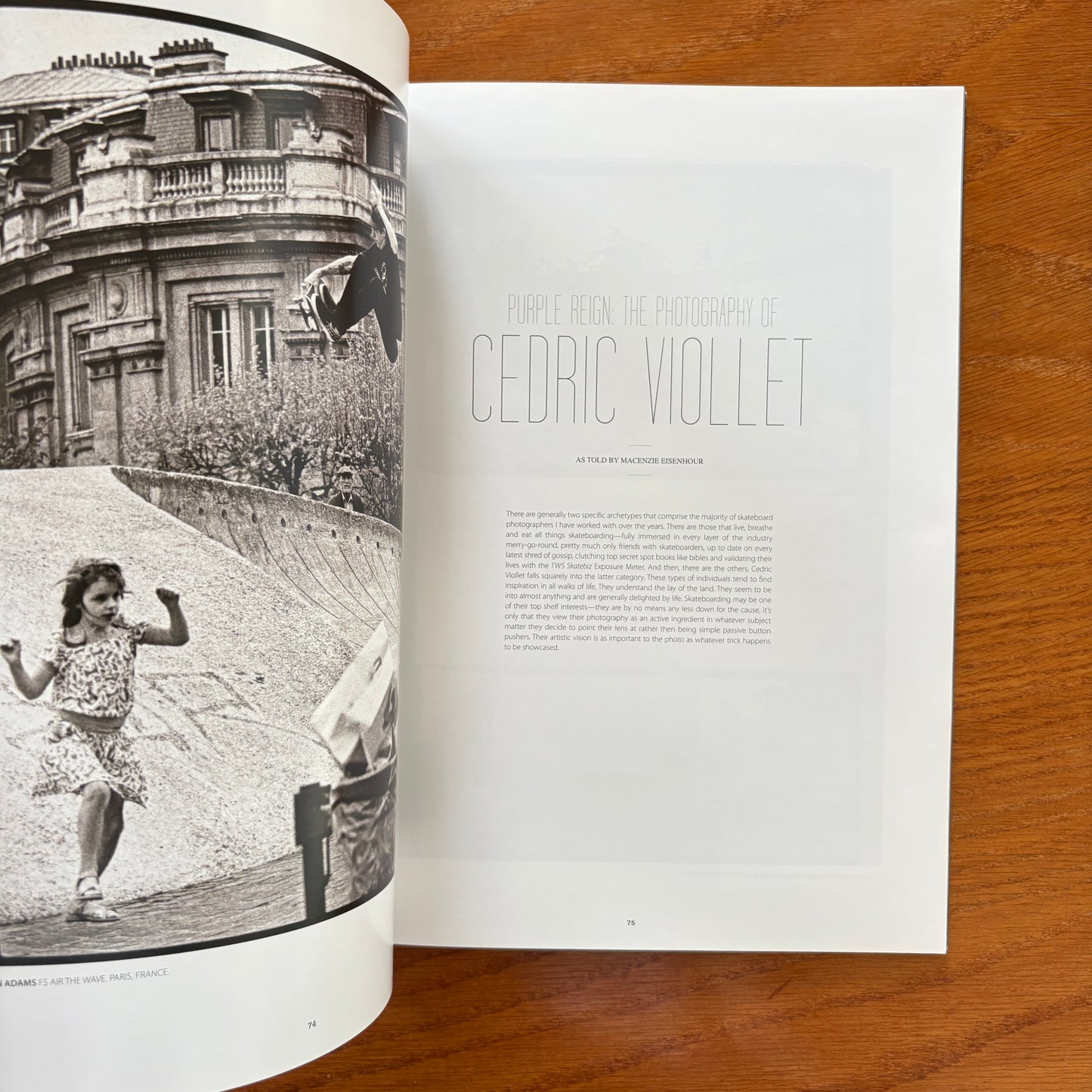 The Skateboarder's Journal 15