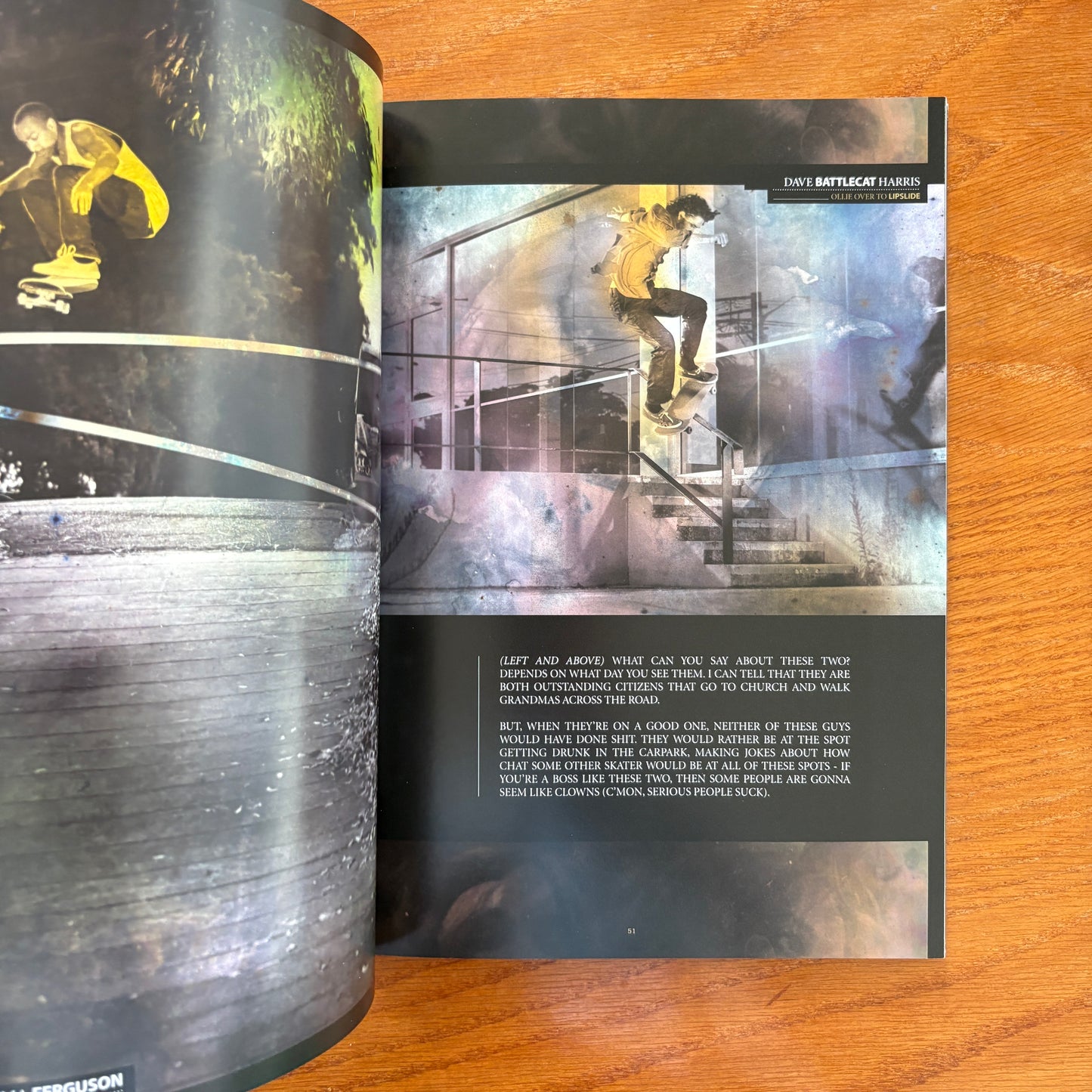 The Skateboarder's Journal 15