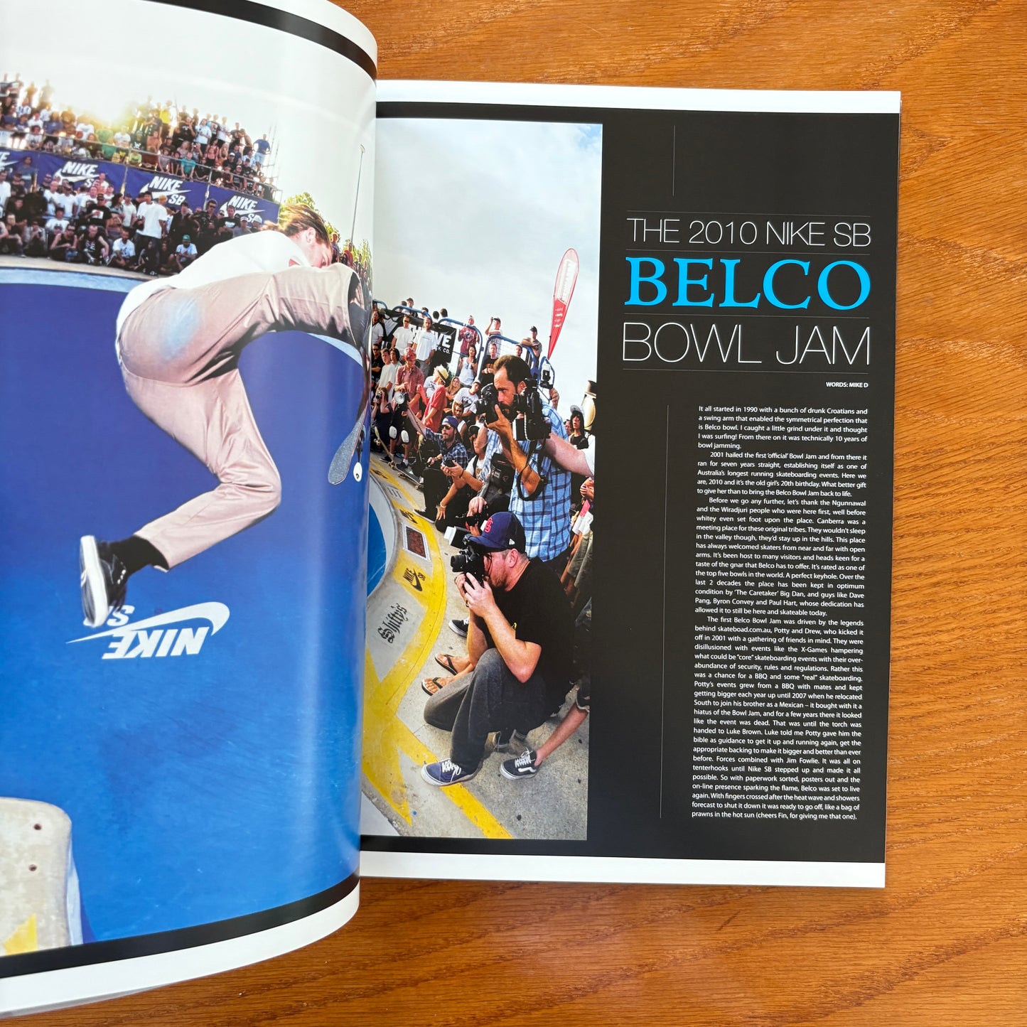The Skateboarder's Journal 15