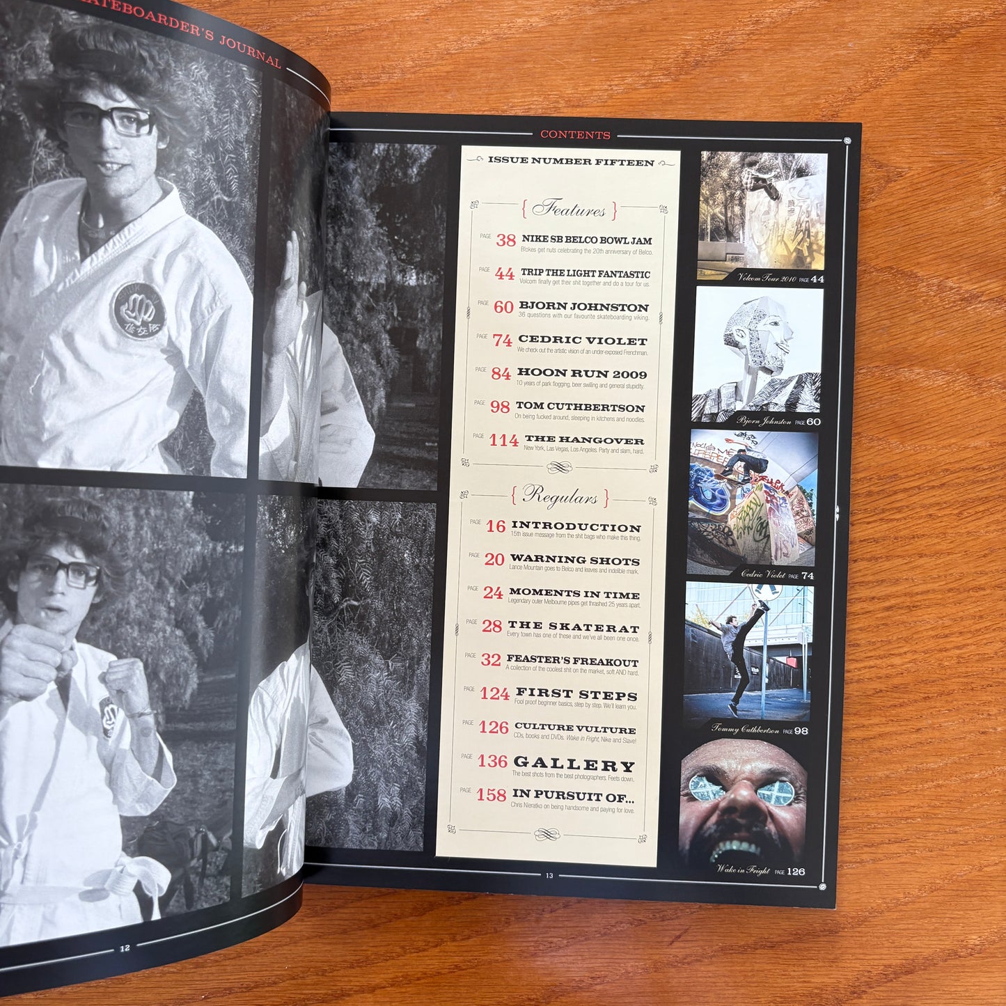 The Skateboarder's Journal 15
