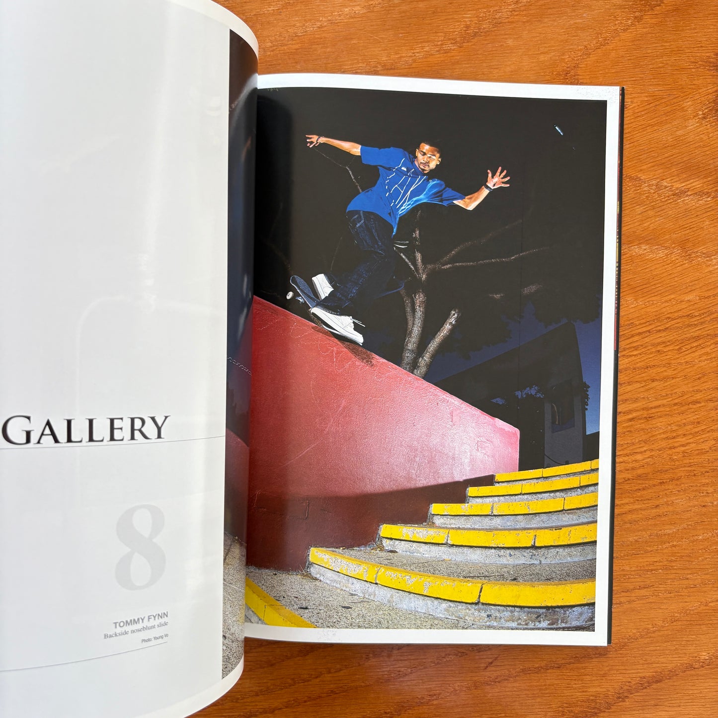 The Skateboarder's Journal 14