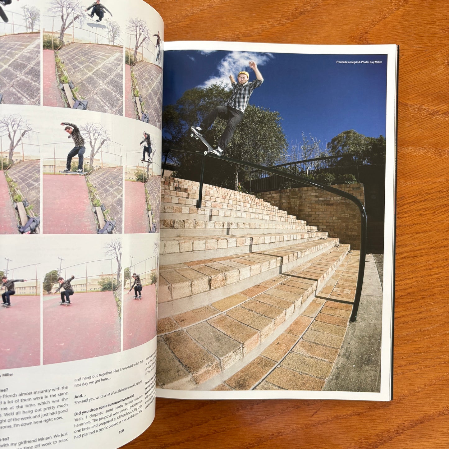 The Skateboarder's Journal 14
