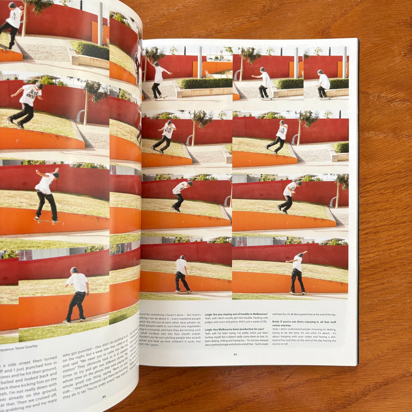 The Skateboarder's Journal 14