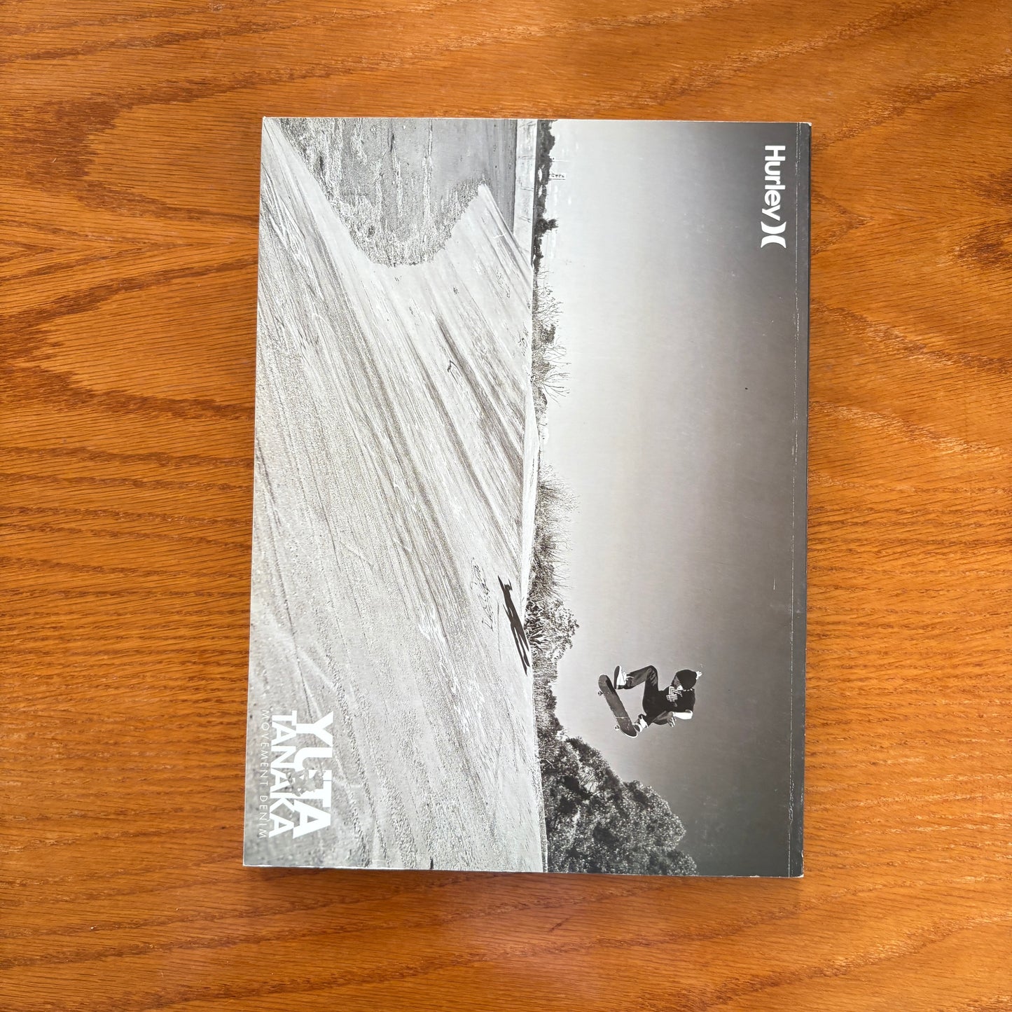 The Skateboarder's Journal 12