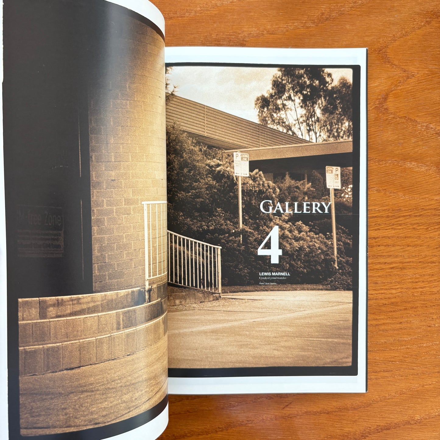 The Skateboarder's Journal 12