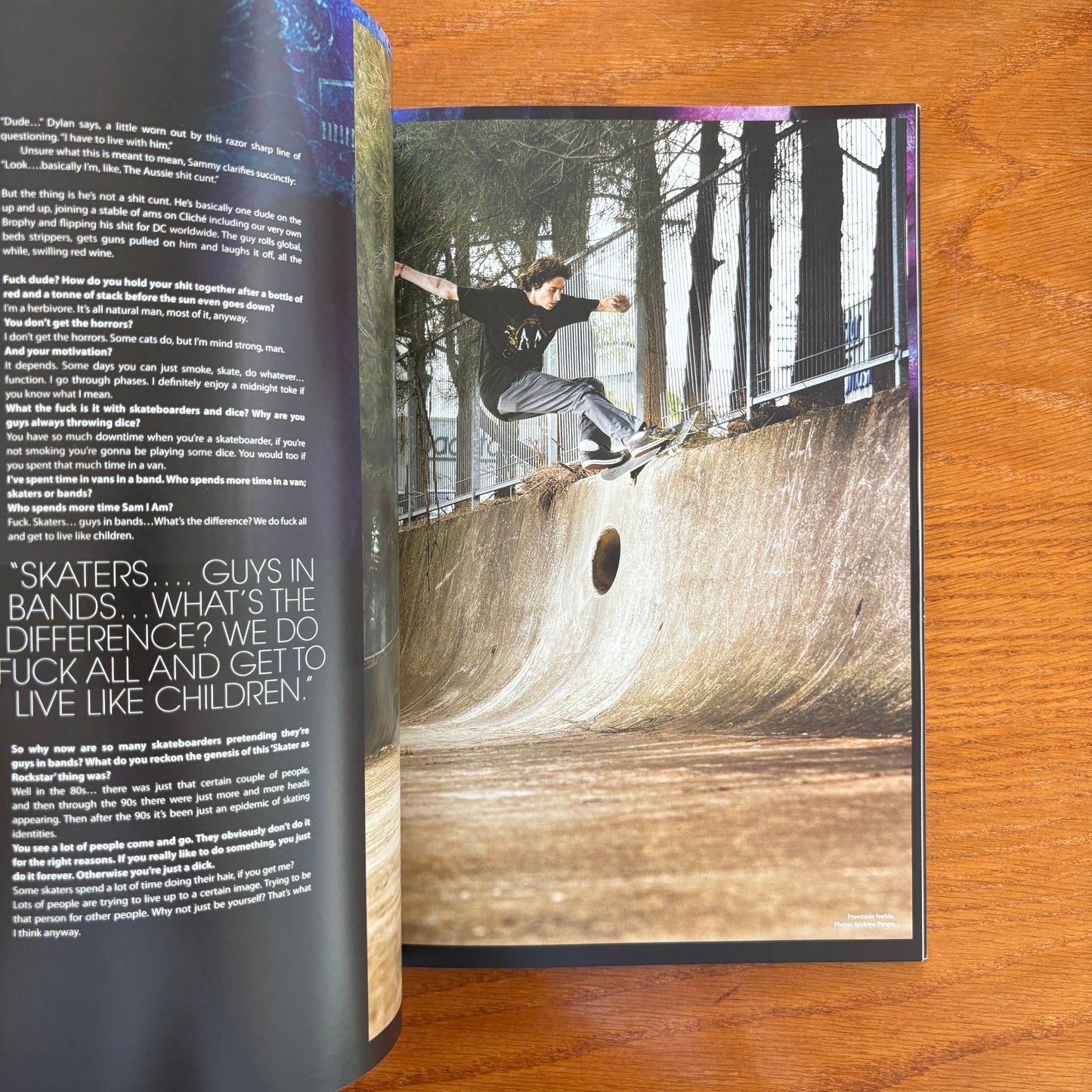 The Skateboarder's Journal 12