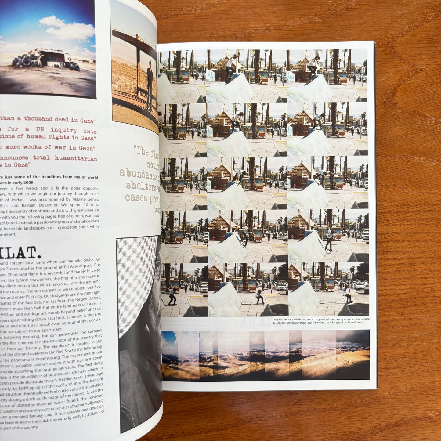 The Skateboarder's Journal 12
