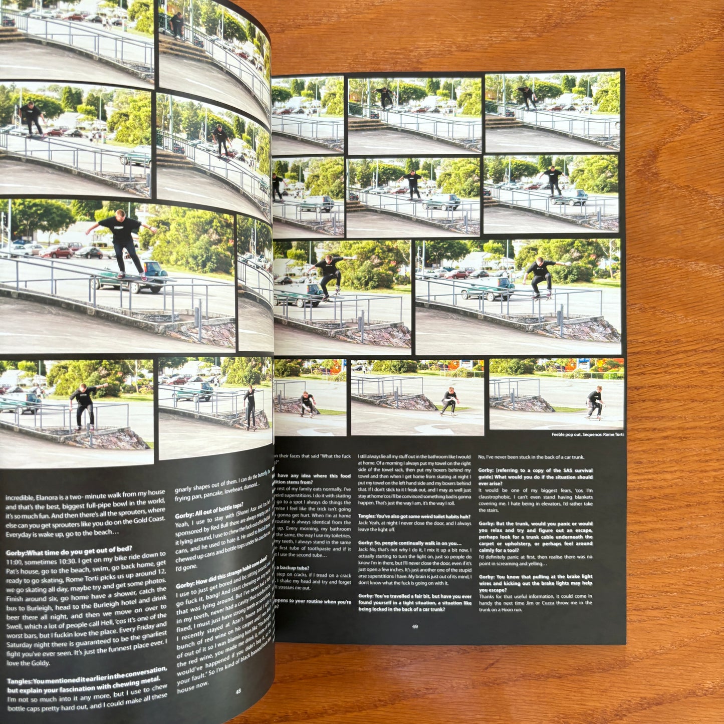 The Skateboarder's Journal 12