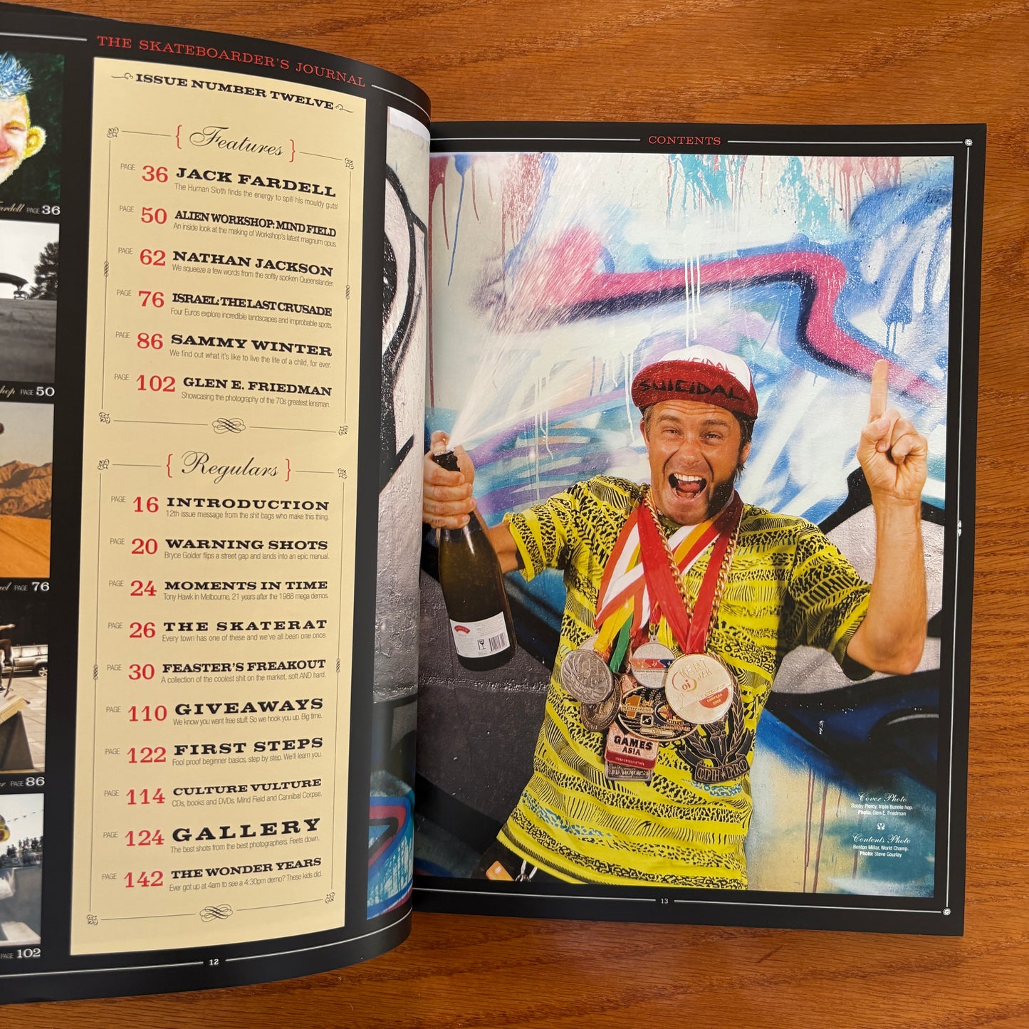The Skateboarder's Journal 12