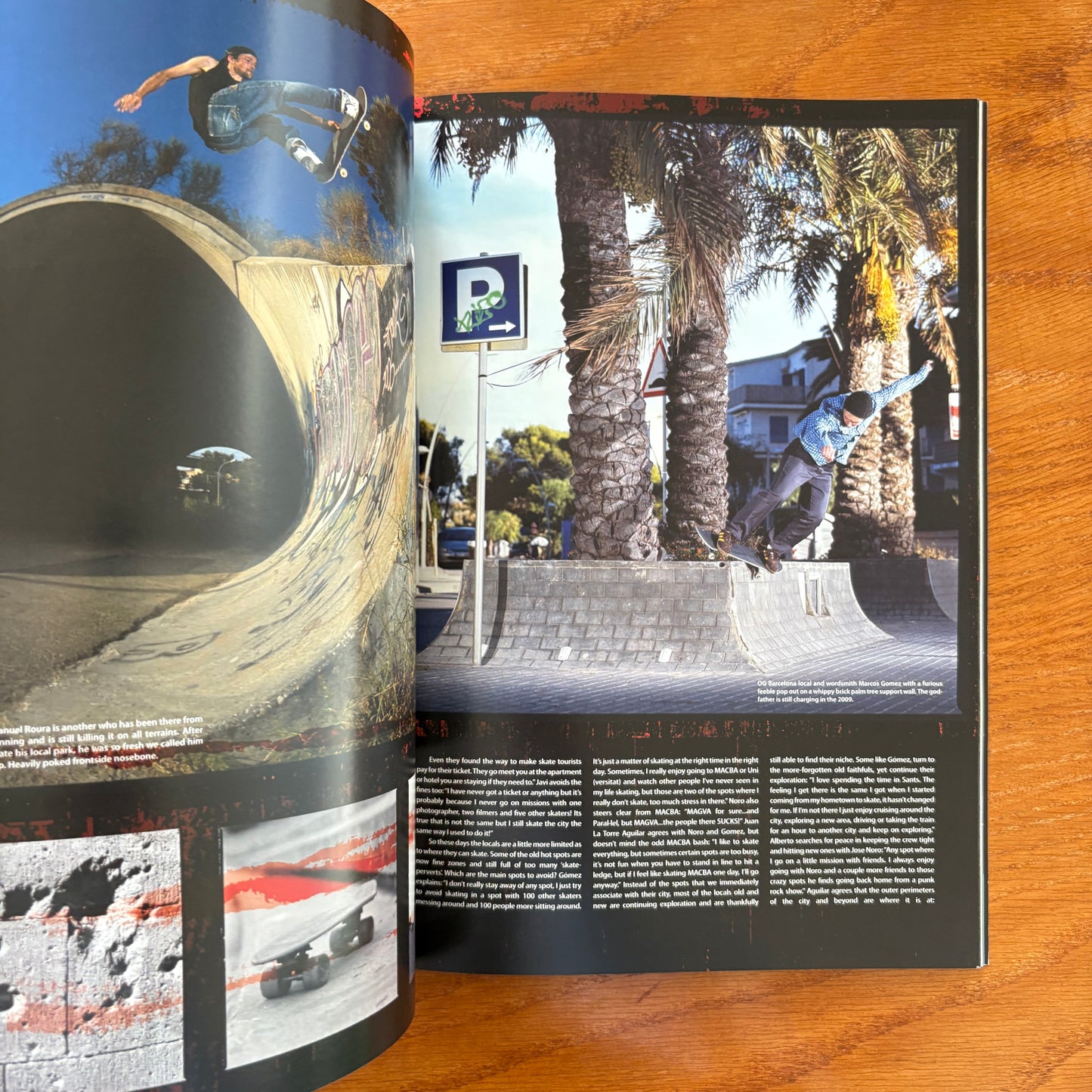 The Skateboarder's Journal 13