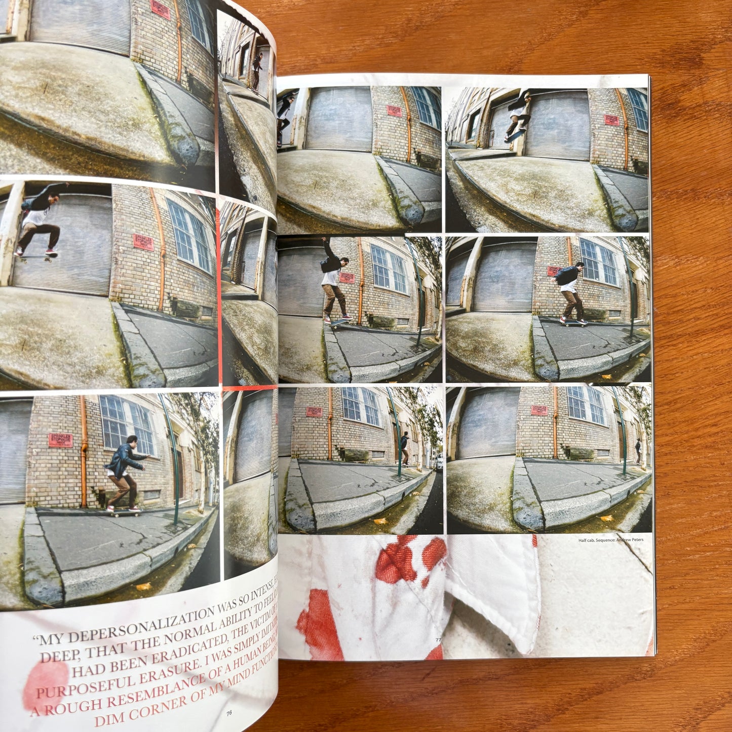 The Skateboarder's Journal 13