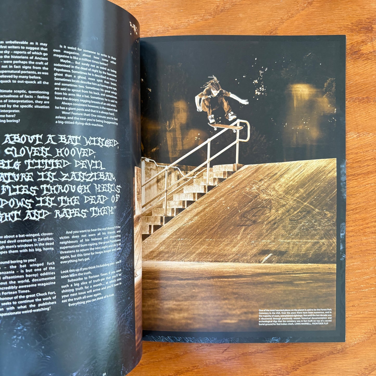 The Skateboarder's Journal 13