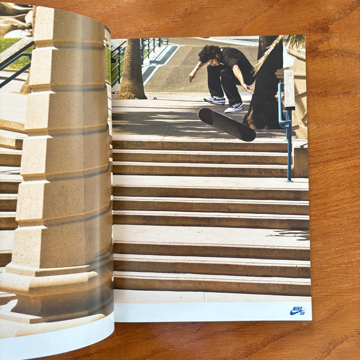 The Skateboarder's Journal 13