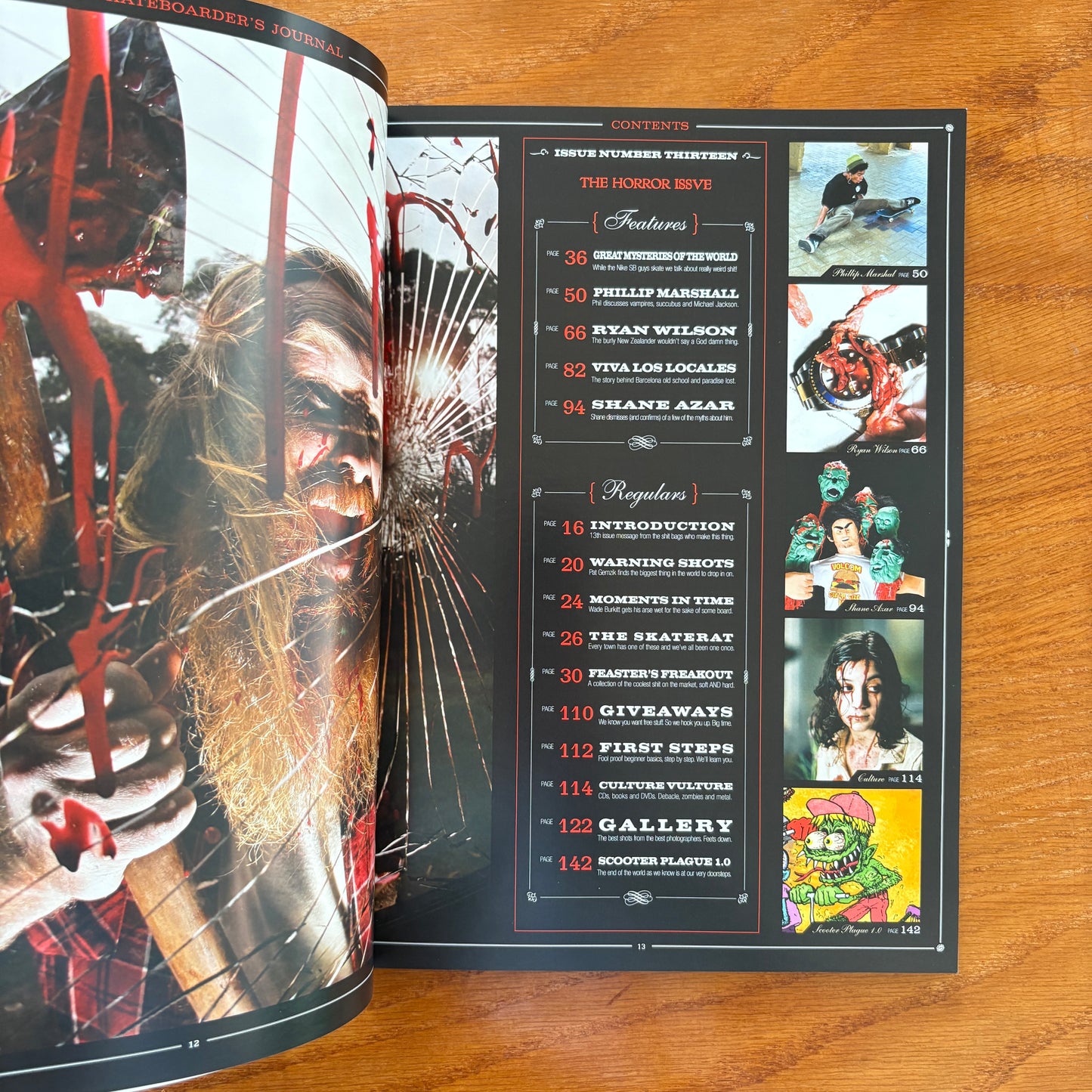 The Skateboarder's Journal 13