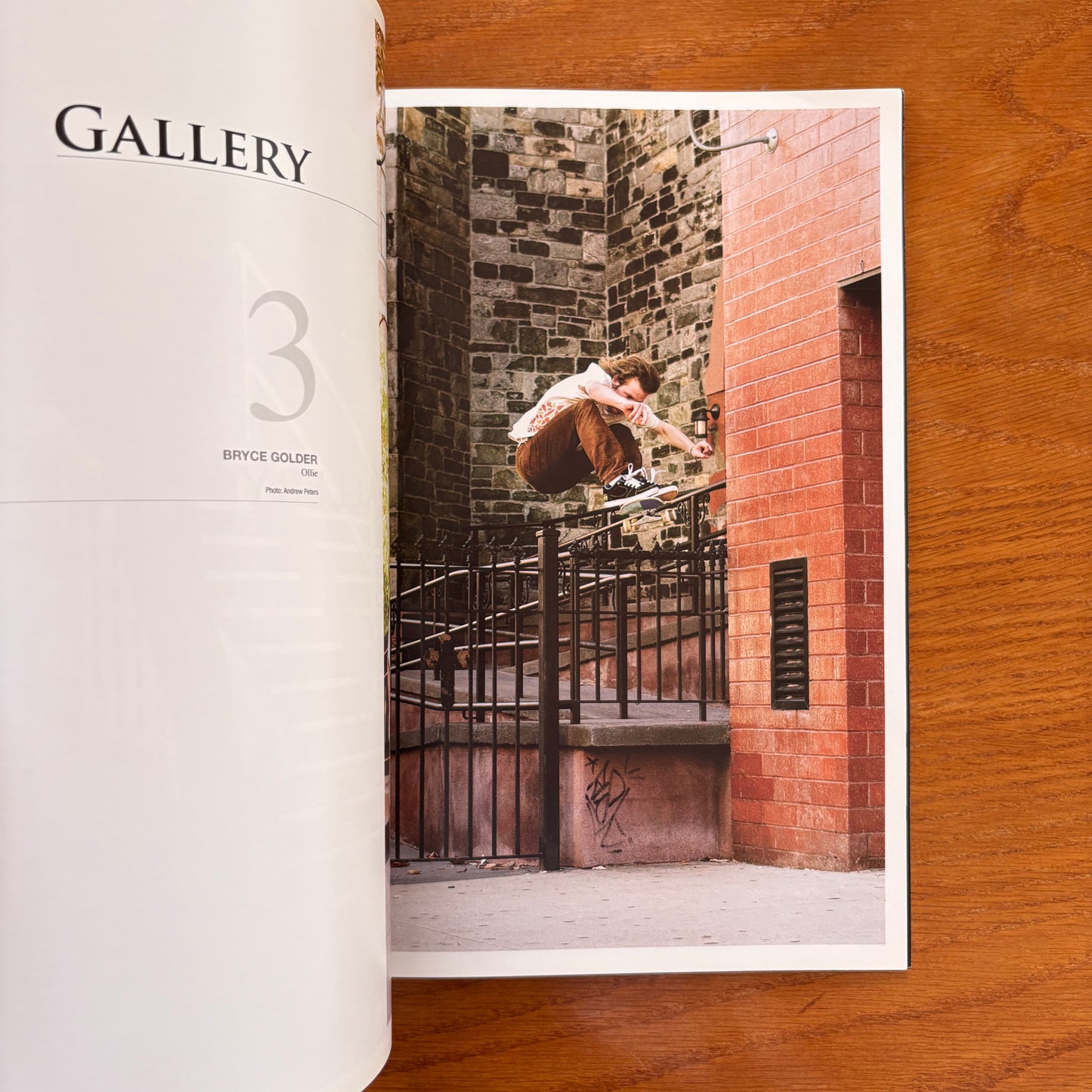 The Skateboarder's Journal 11