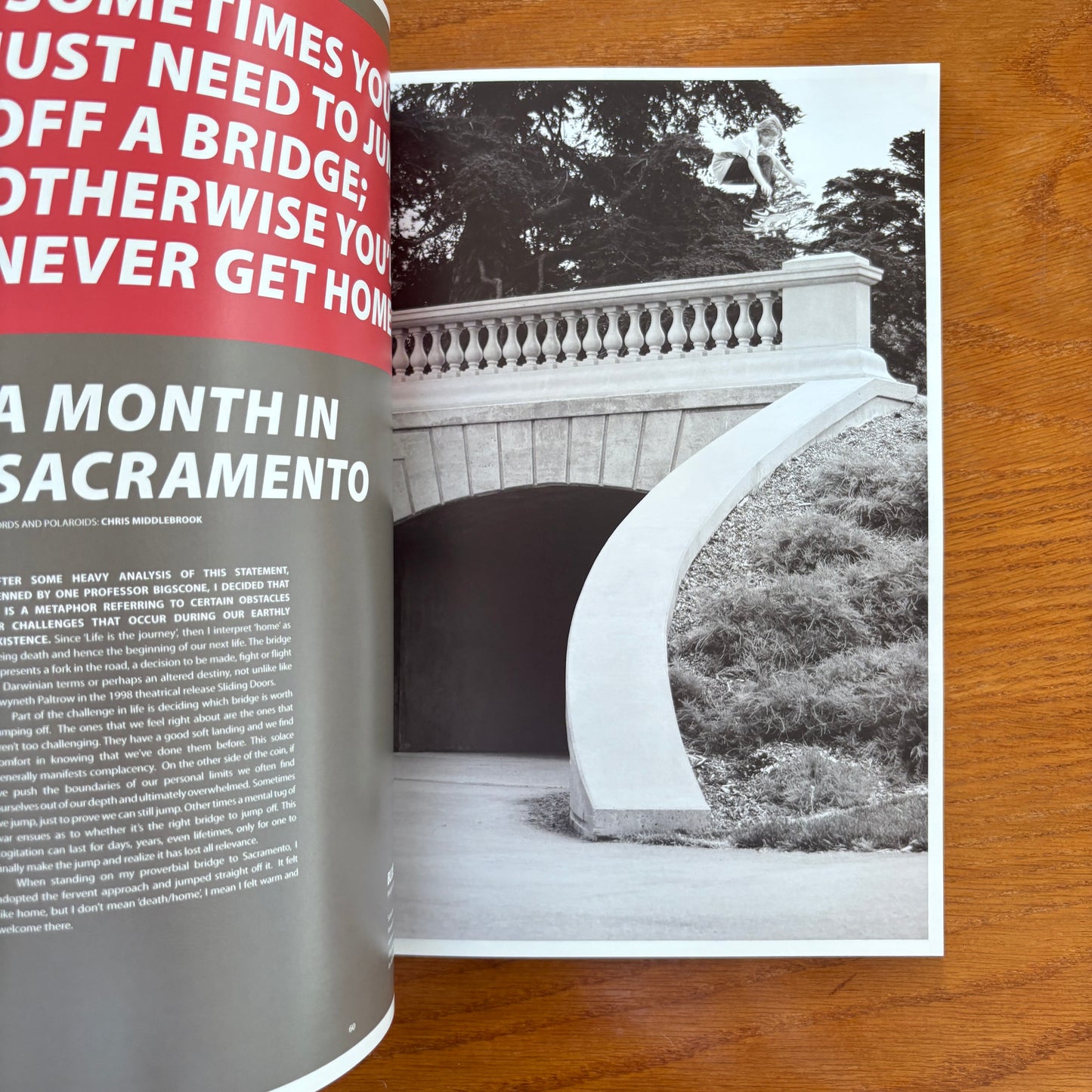 The Skateboarder's Journal 11