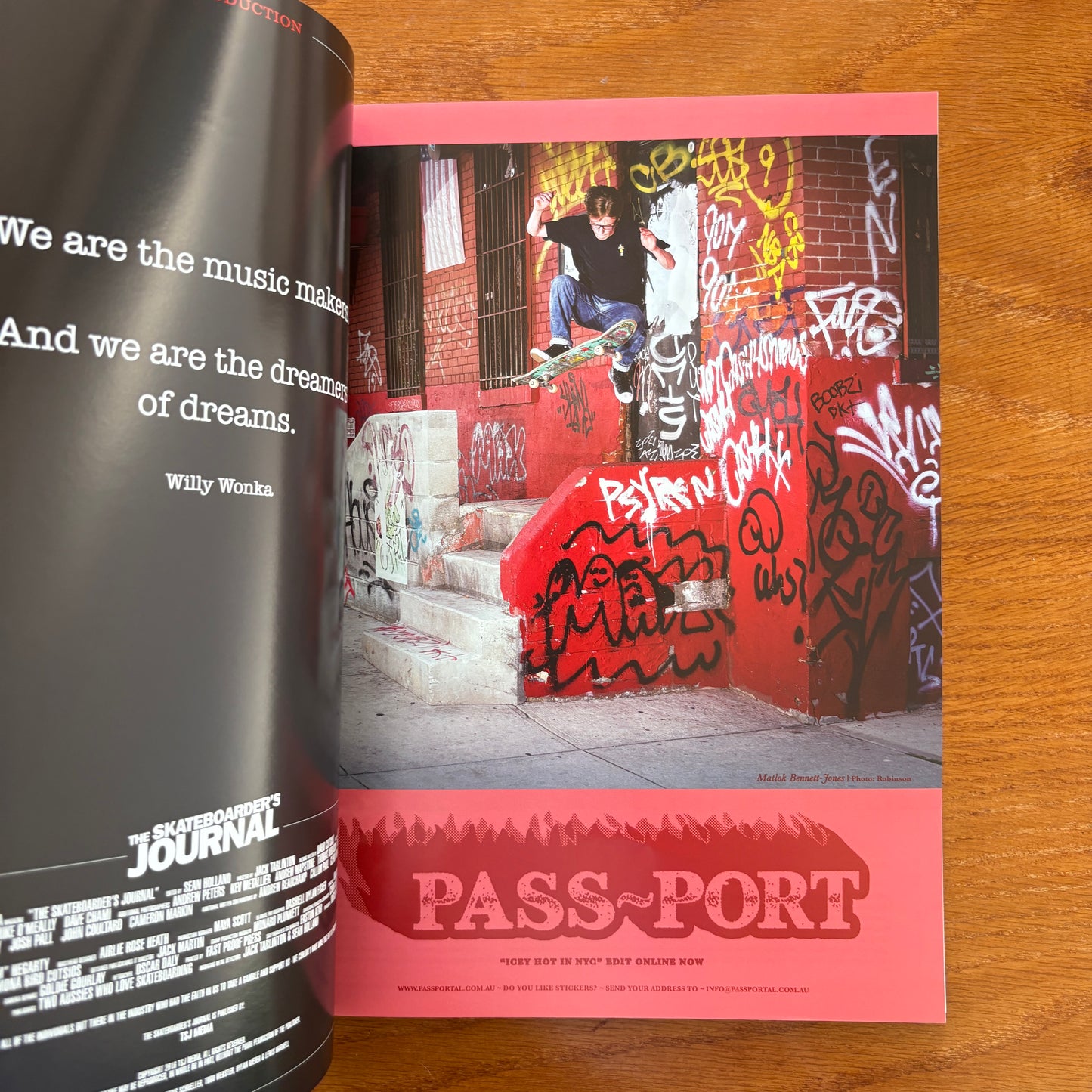 The Skateboarder's Journal 37