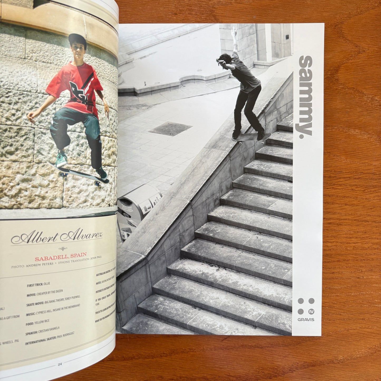 The Skateboarder's Journal 22