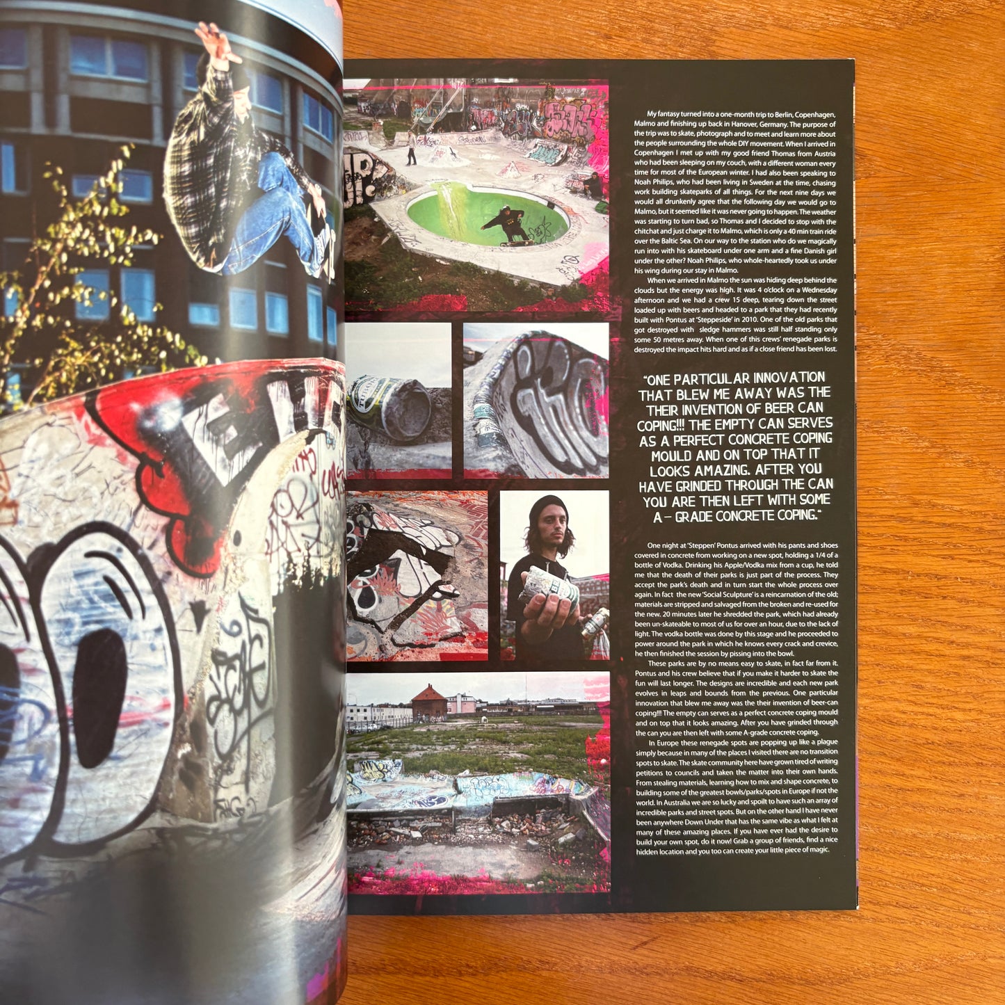 The Skateboarder's Journal 21