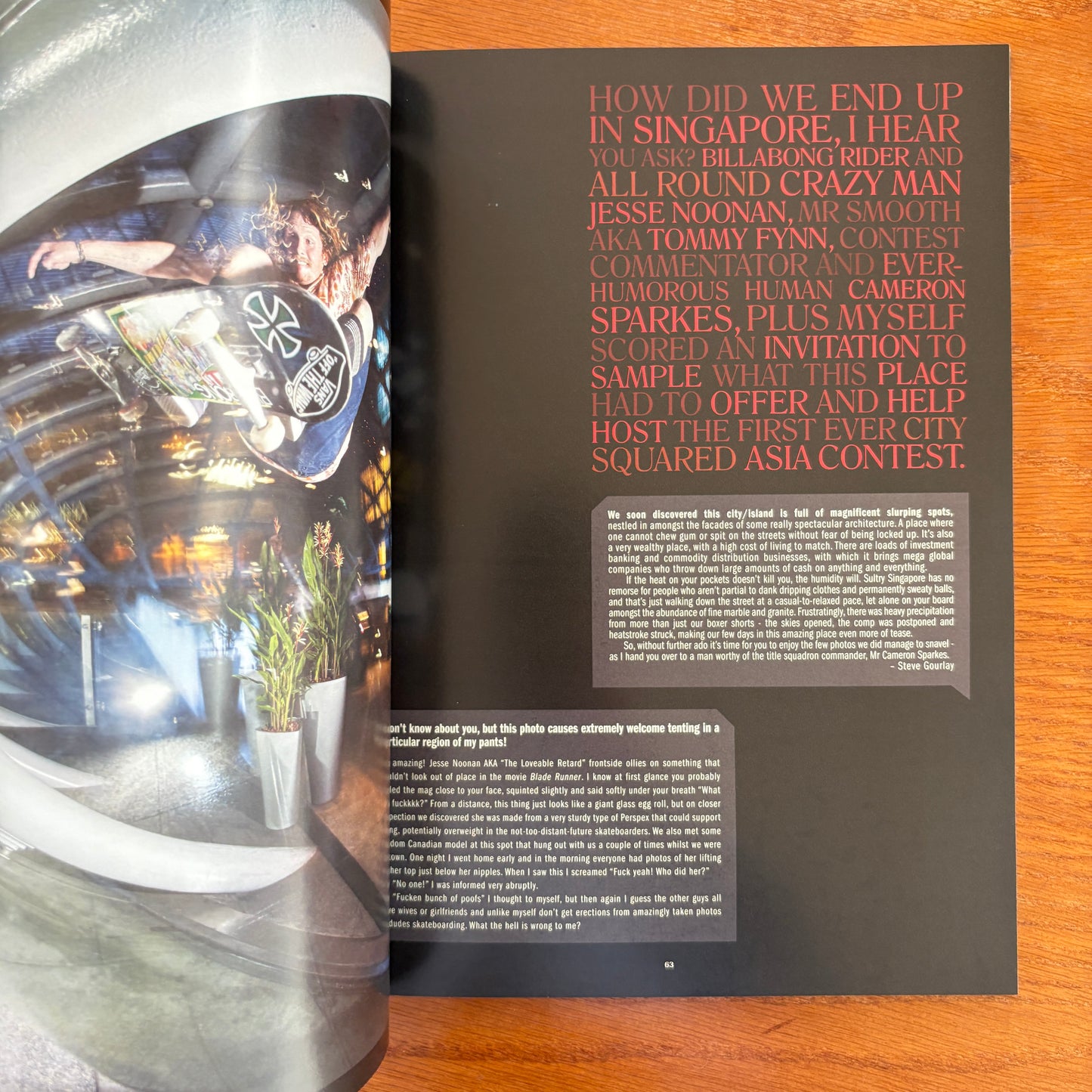 The Skateboarder's Journal 21