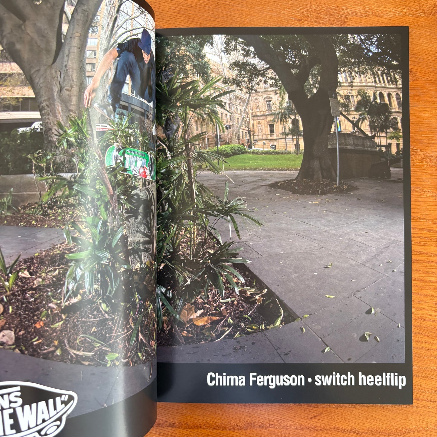 The Skateboarder's Journal 21