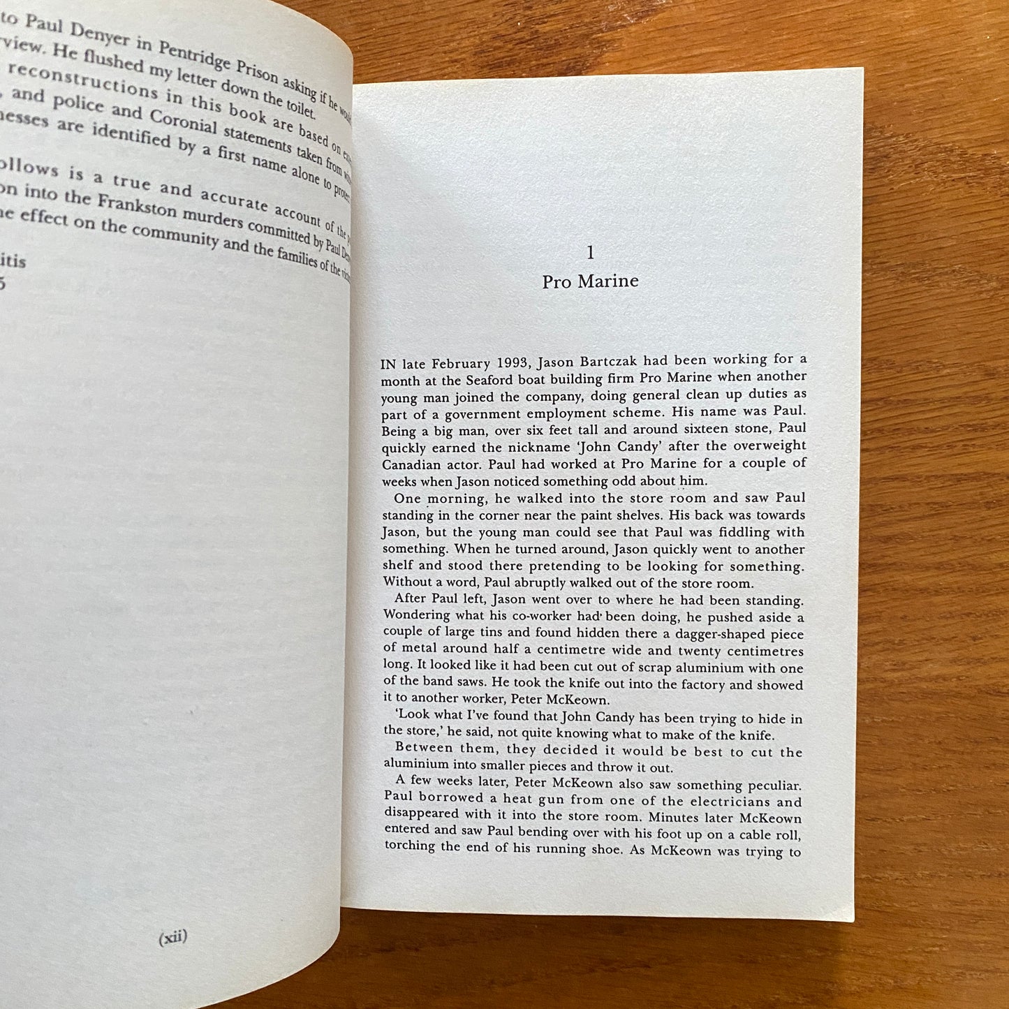 The Frankston Murders: The True Story of Serial Killer Paul Denyer - Vikki Petraitis