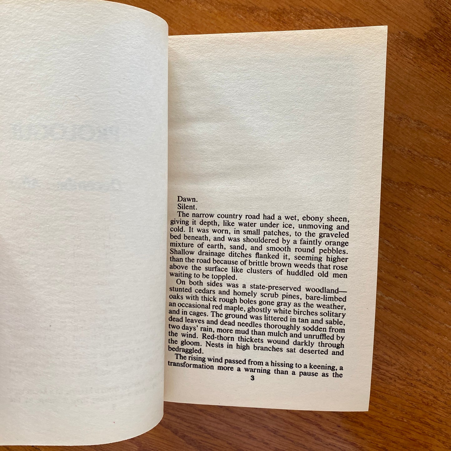 Night Songs - Charles L. Grant