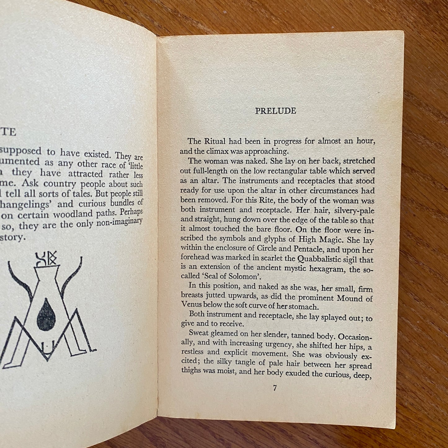 Tanith - Jack D. Shackleford