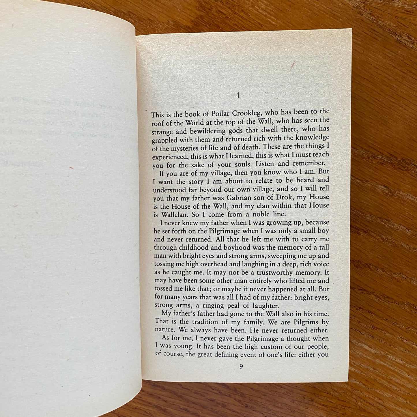 Robert Silverberg - Kingdoms Of The Wall